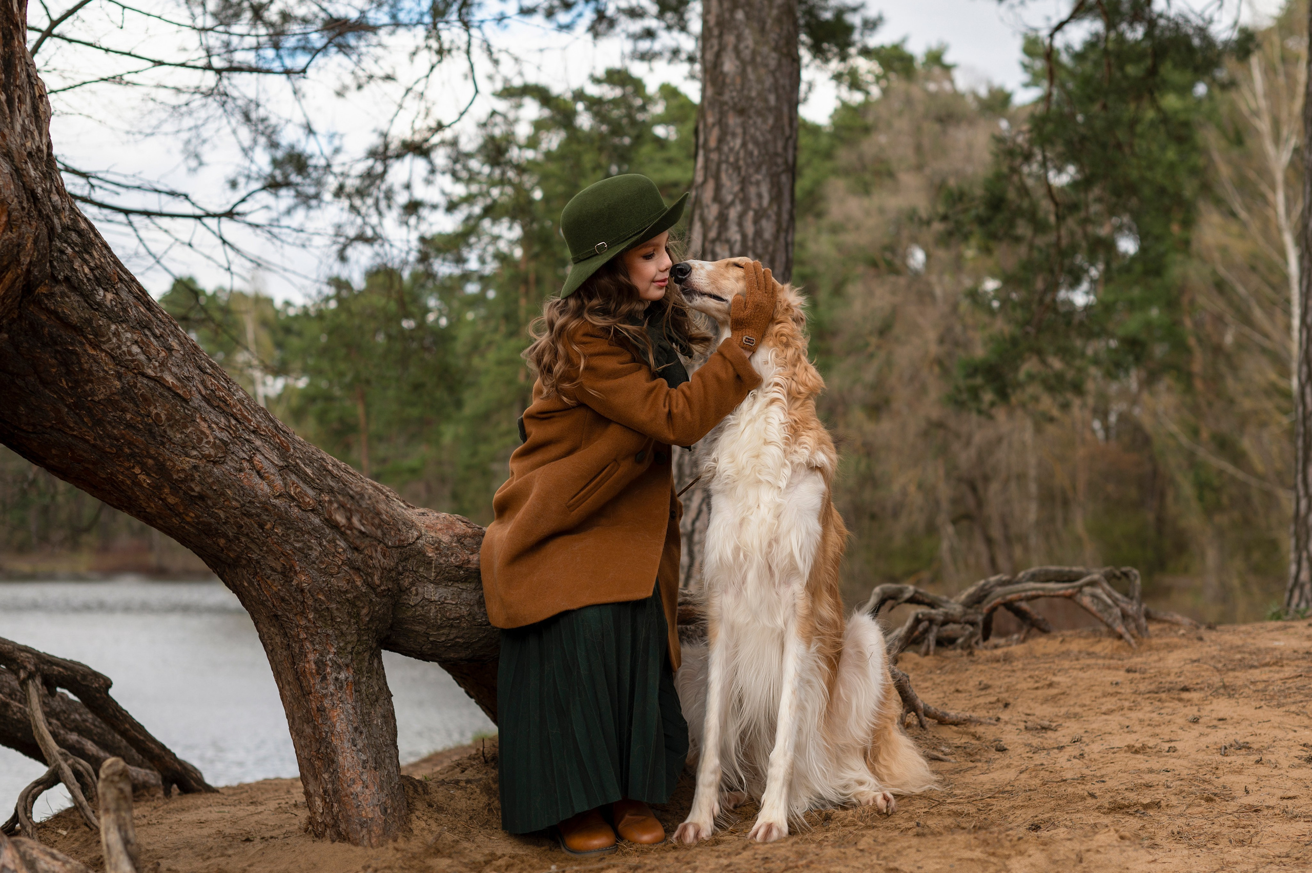 Серебряный бор