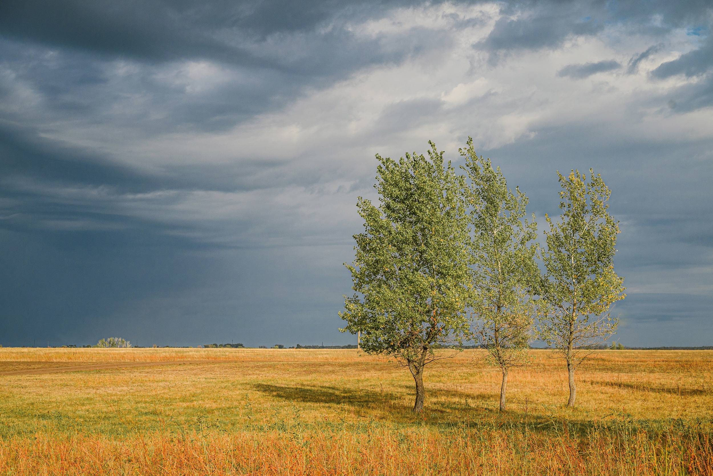 тучи, пасмурно, перед дождём