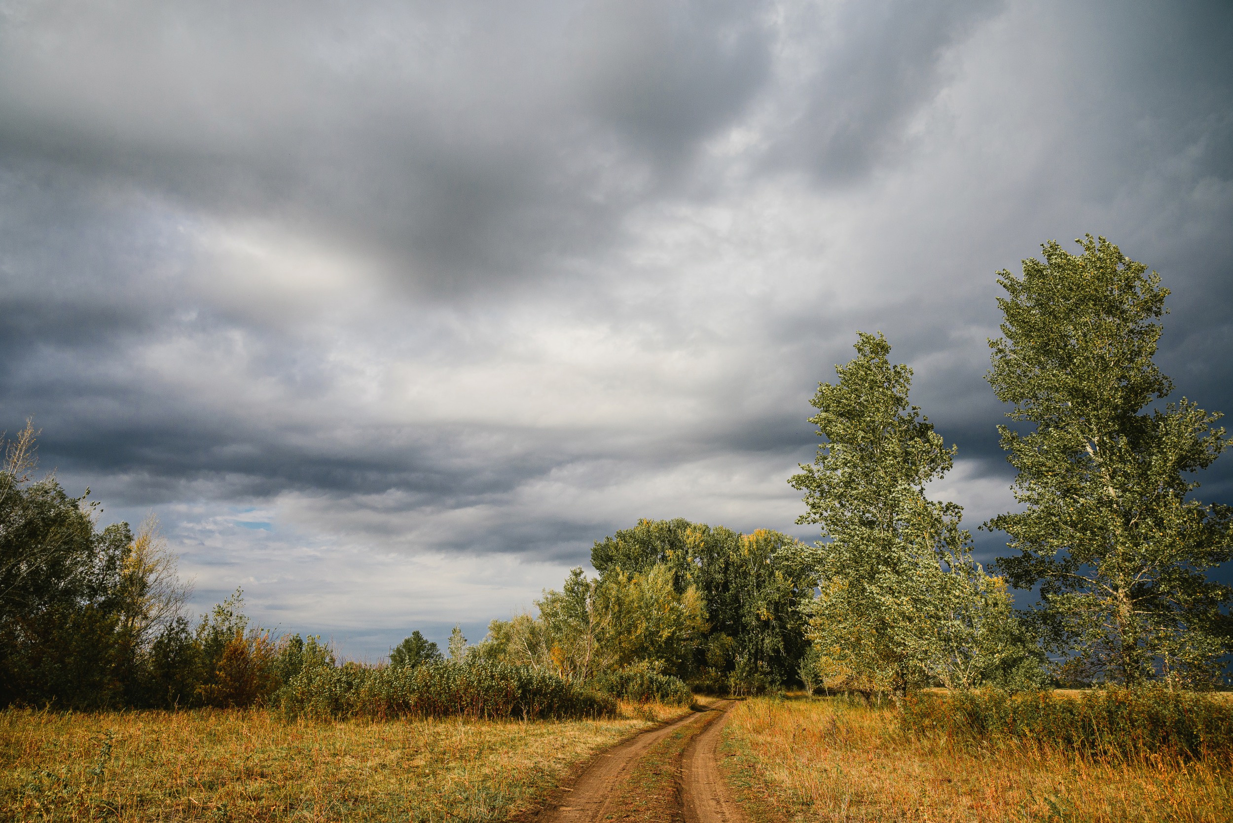 тучи, пасмурно, перед дождём