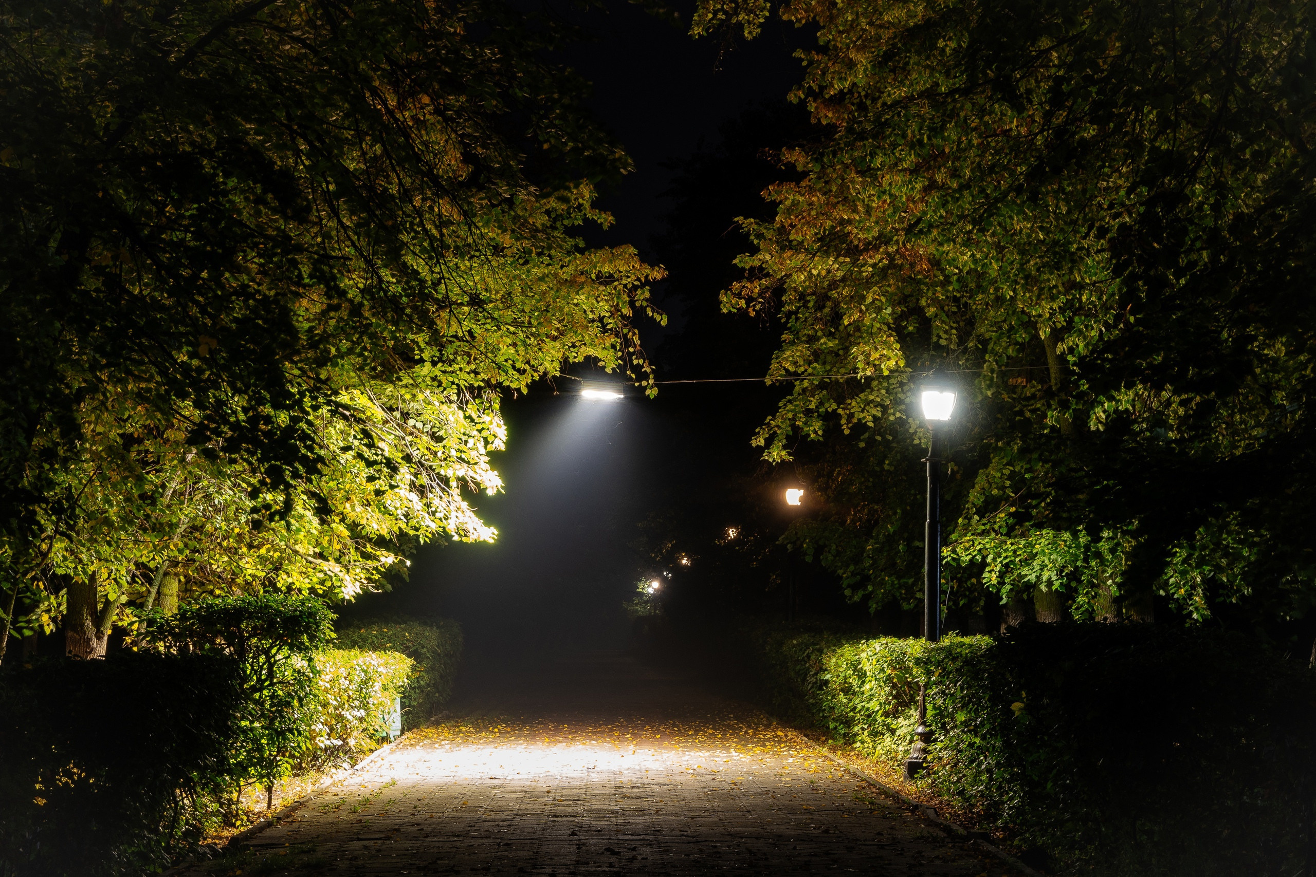 парк, переулок