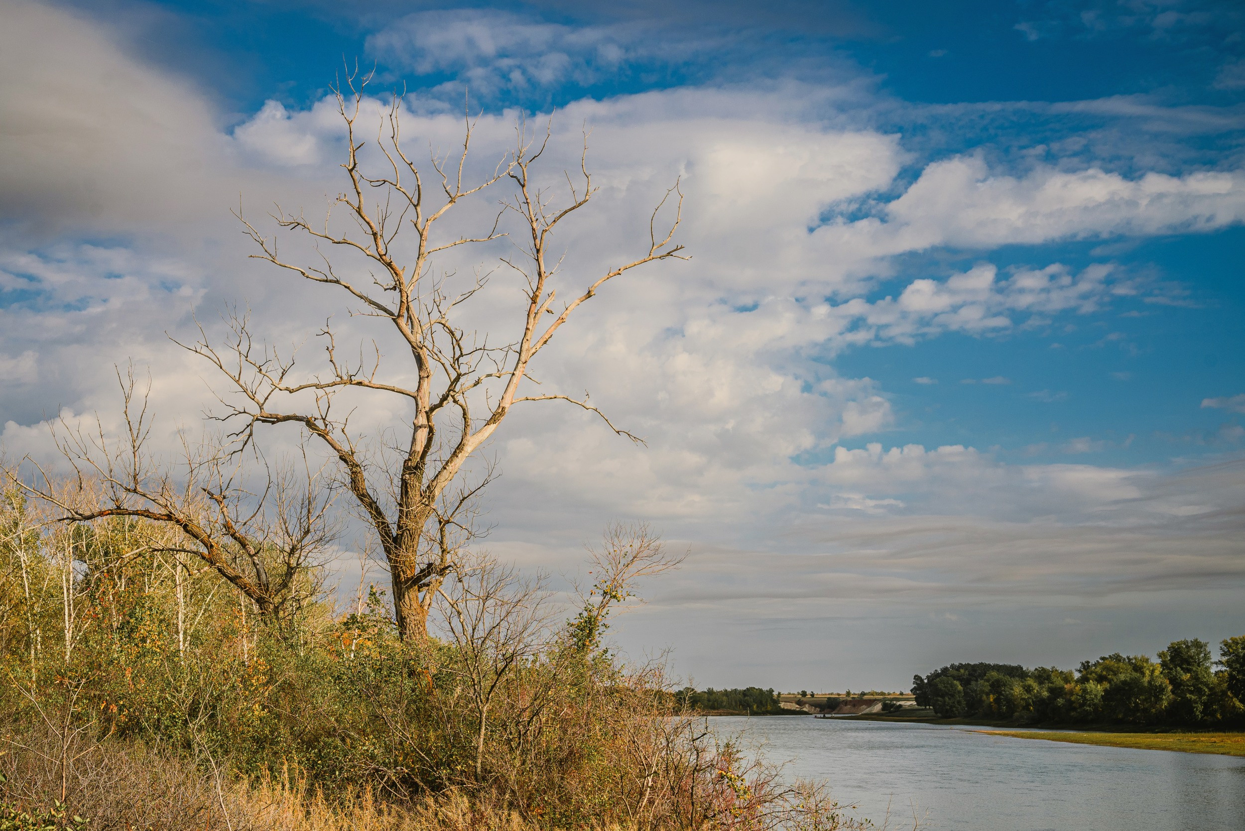река, урал, дерево, берег