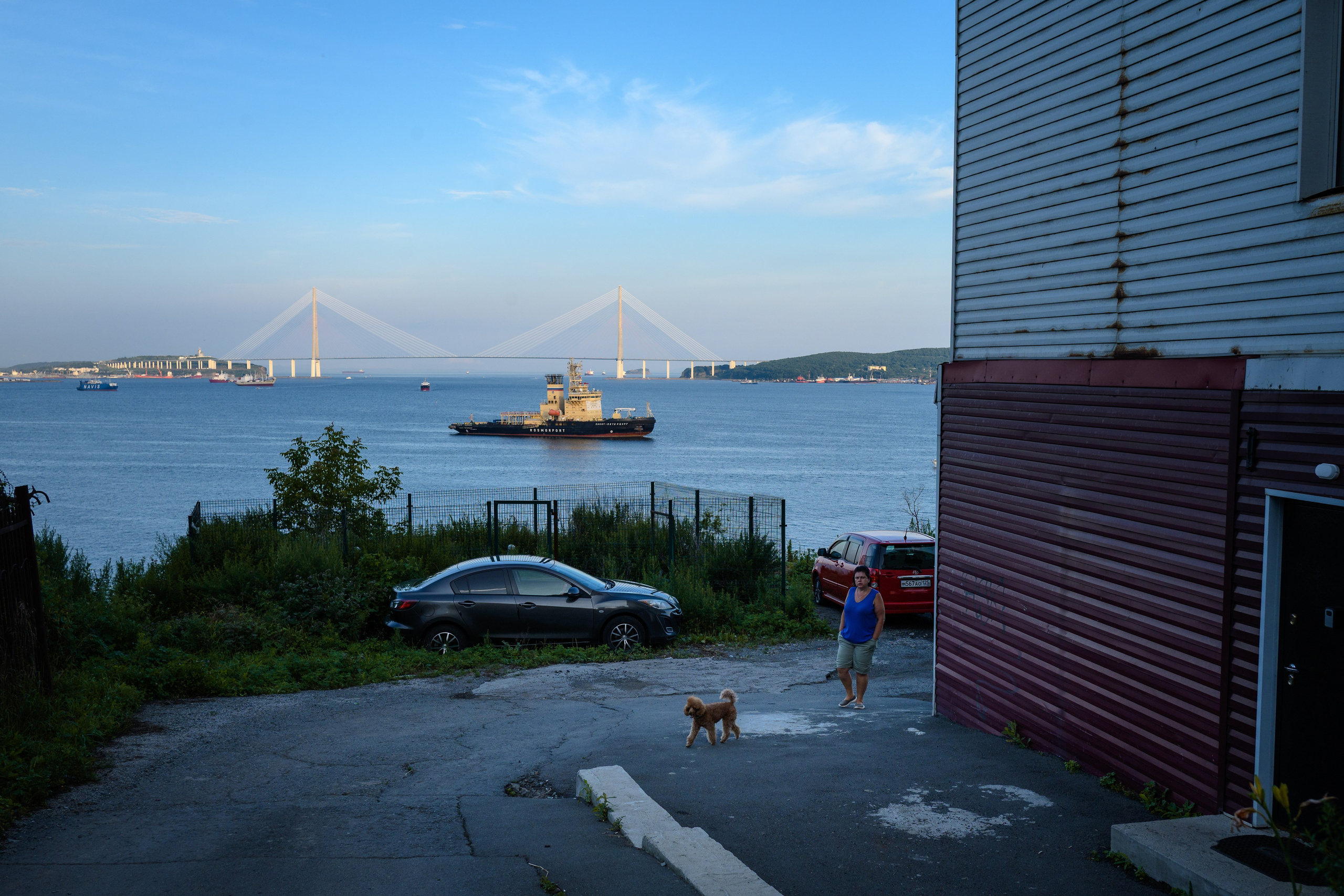 Социальный пейзаж. Документальный фотограф