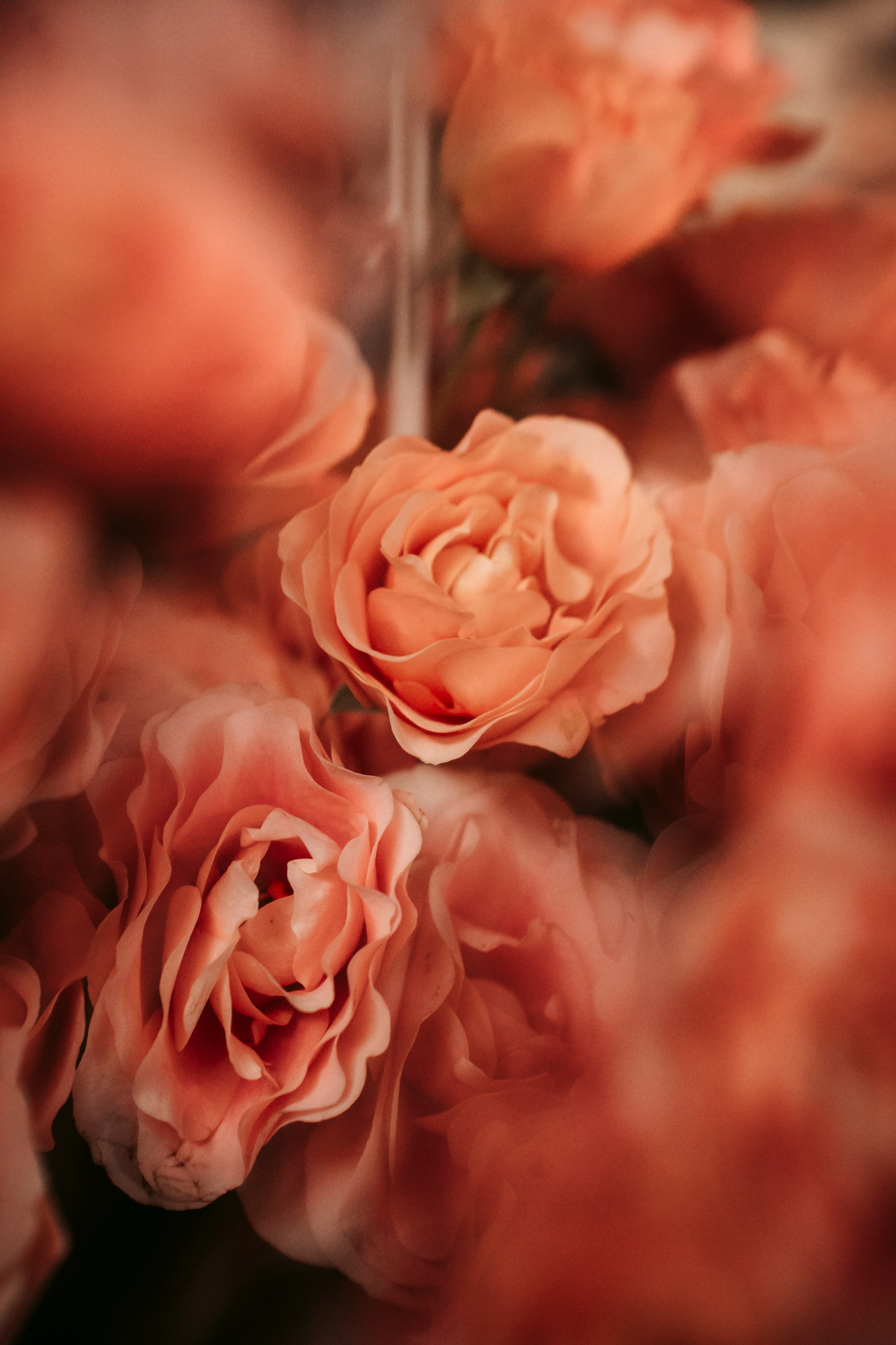 Цветочный андеграунд. Главная