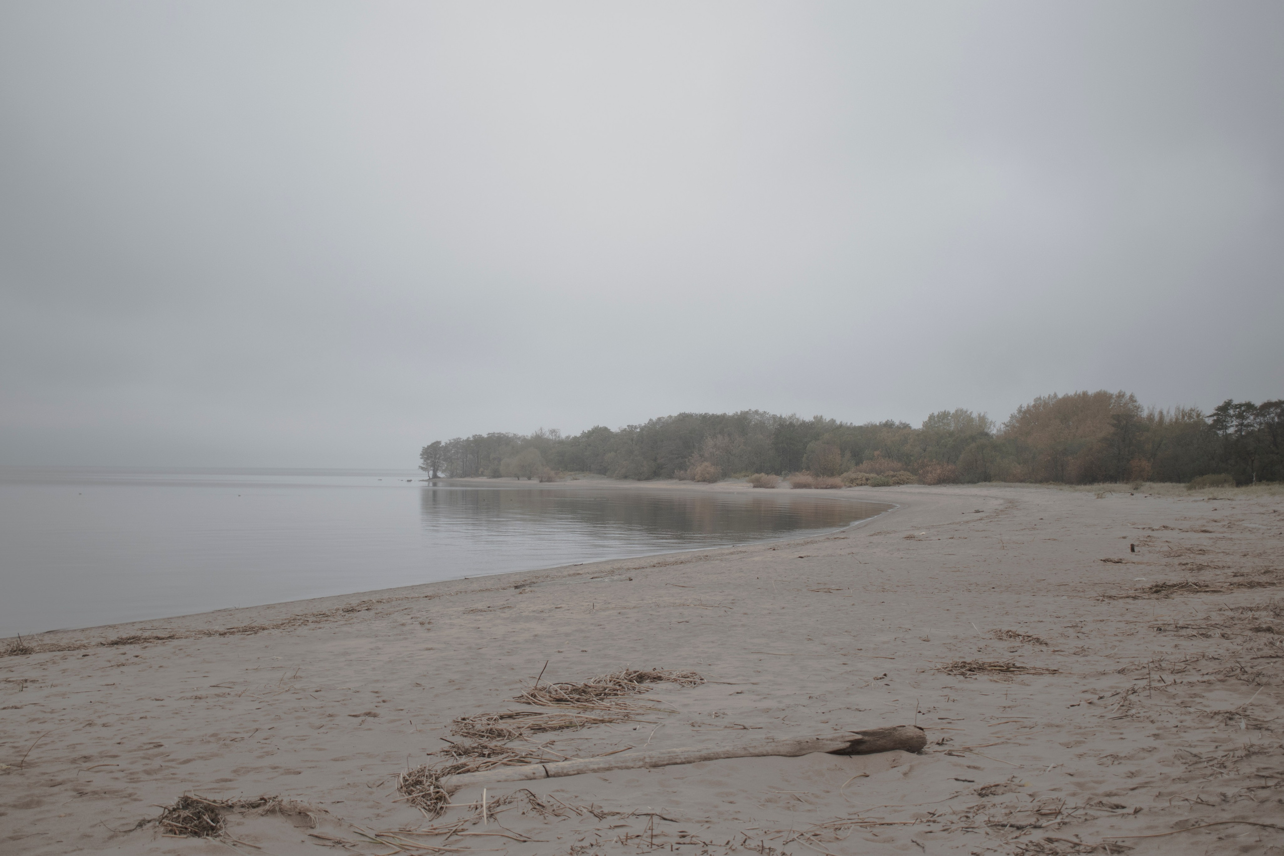 Залив. Фотограф в Спб Арина Чеглакова