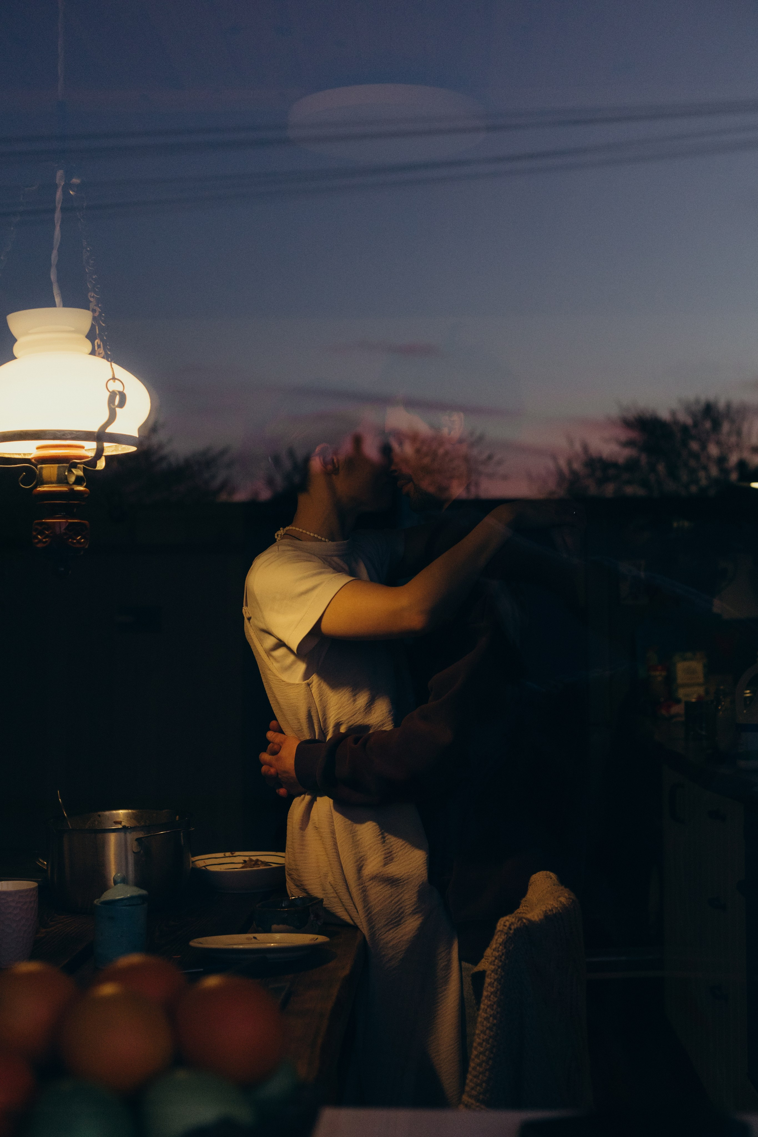 Домашняя история. Meryfotoidea