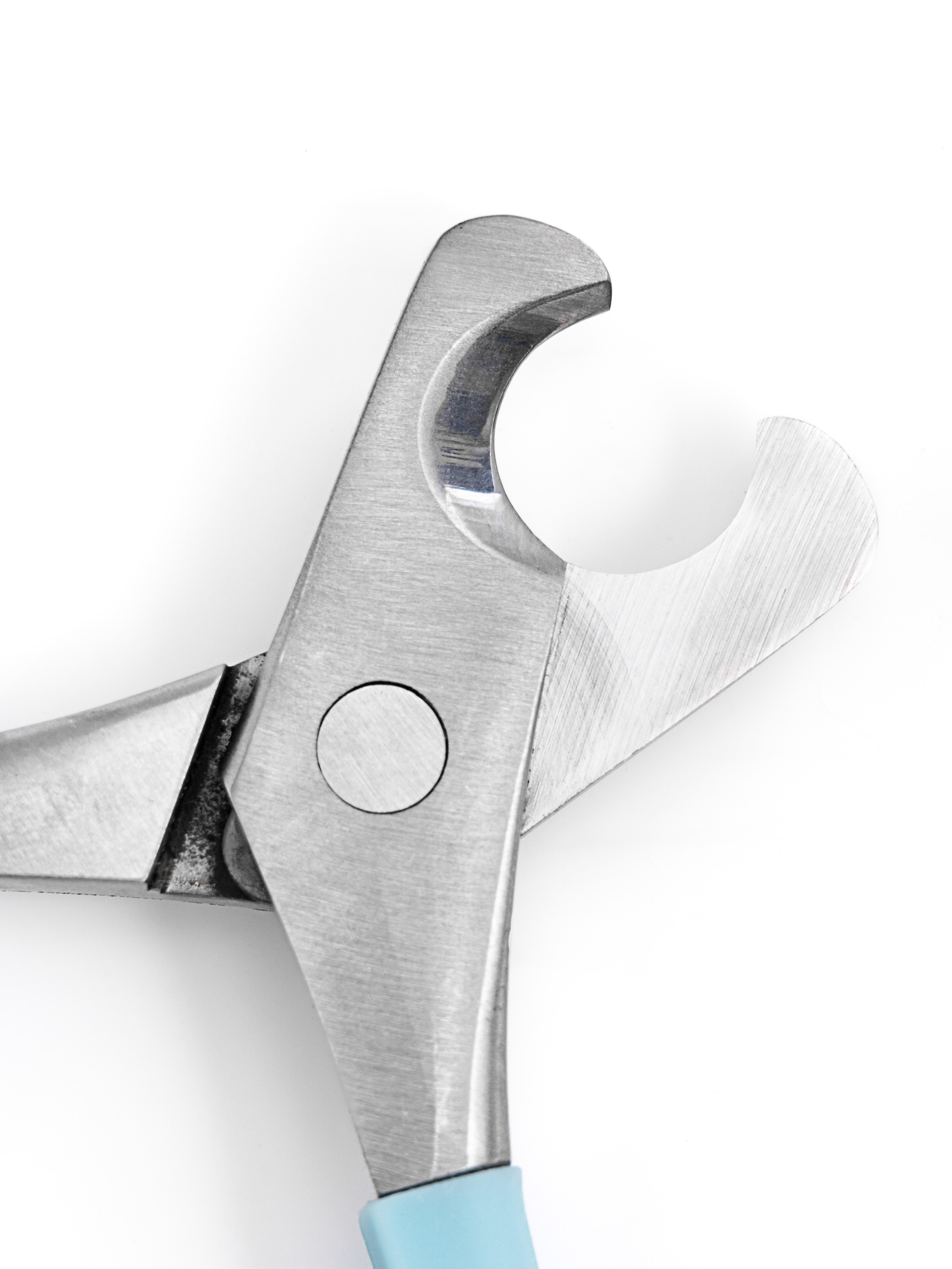 Каталожная съемка. Фотограф Настасья Эйви