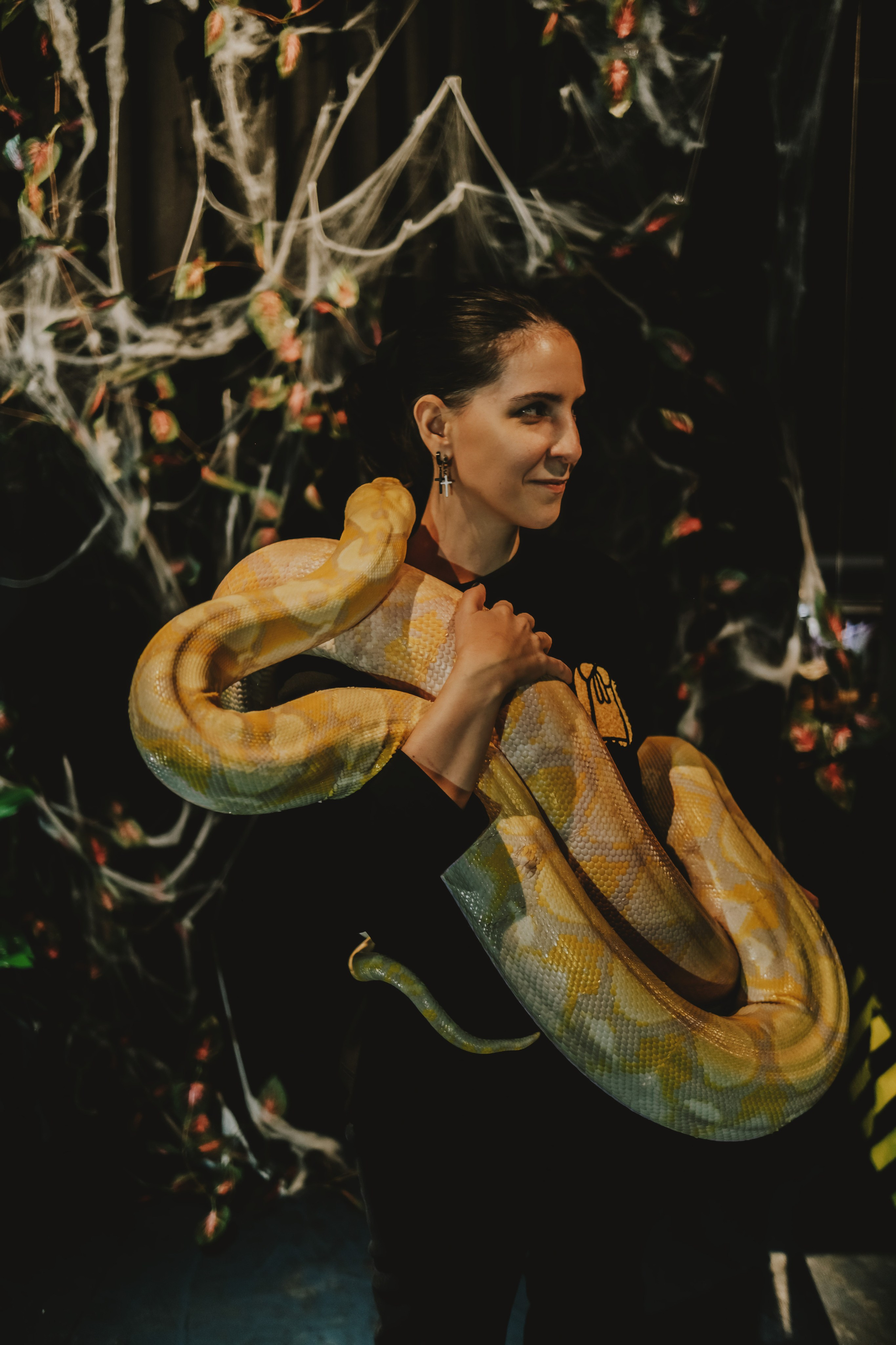 Дом Драконов. Nattie.ph