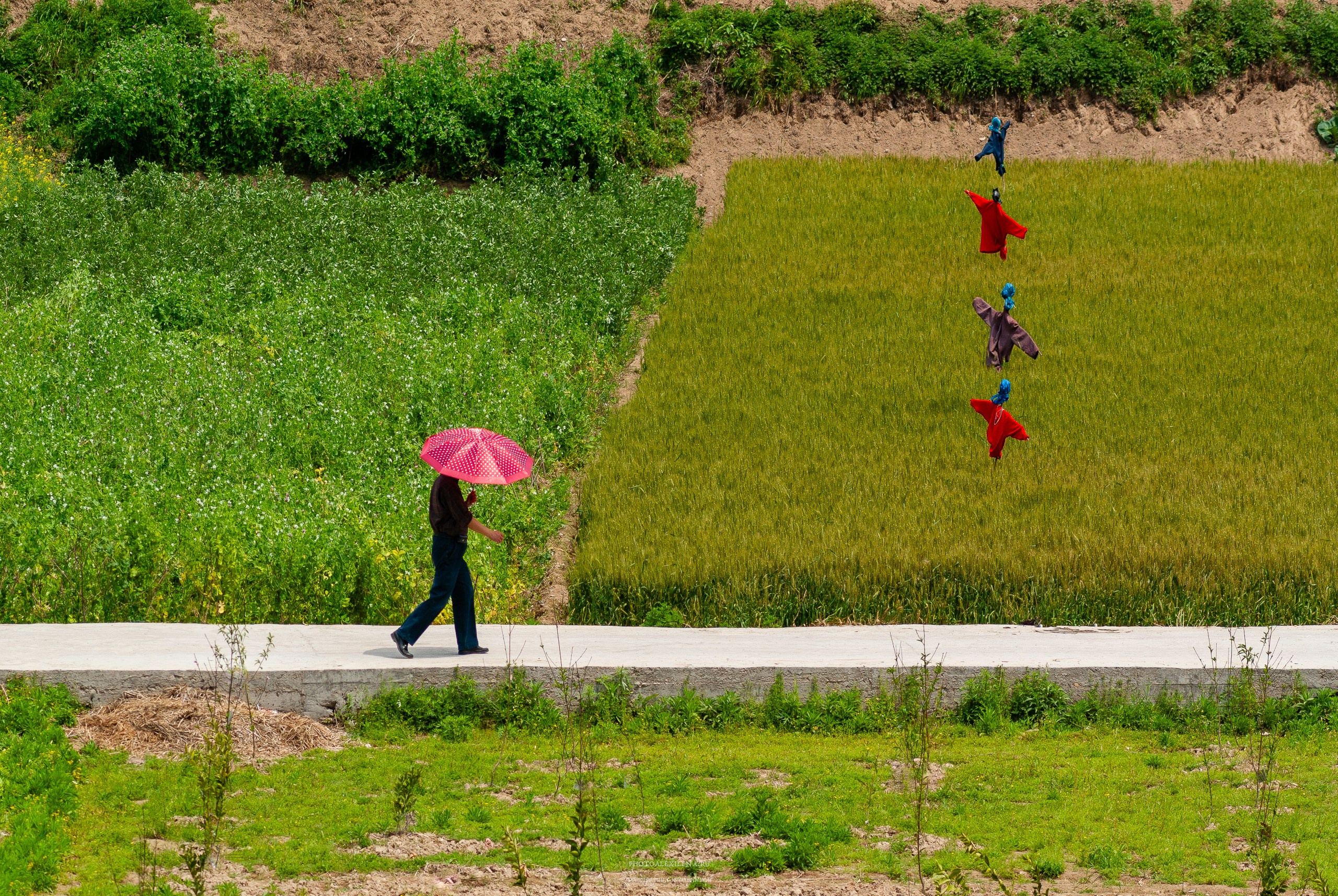 Решающий момент. Авторские стильные фотокартины
