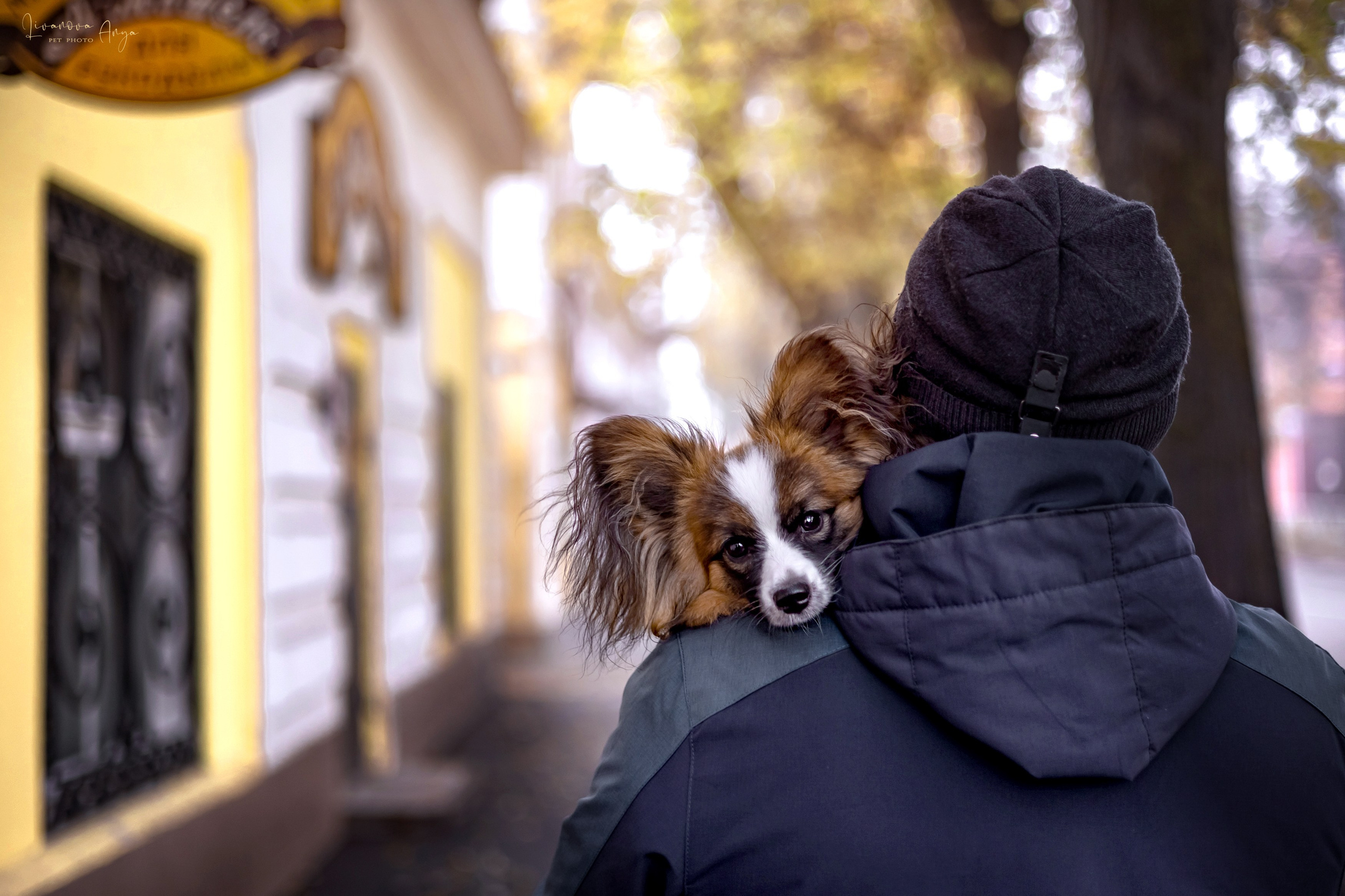 Хьюстон. Фотограф анималист Аня Ливанова | Рыбинск