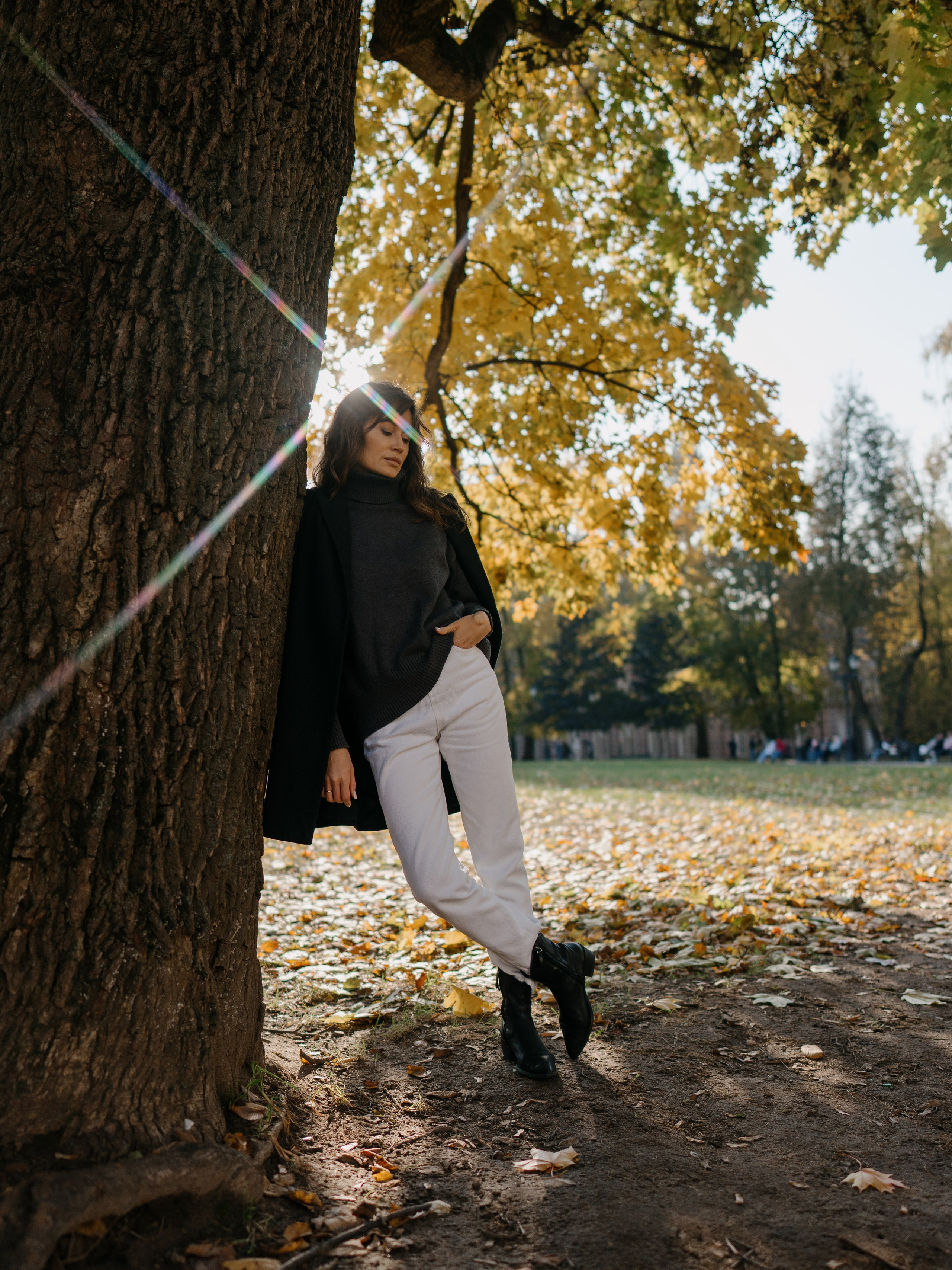 Золотая осень в парках Москвы