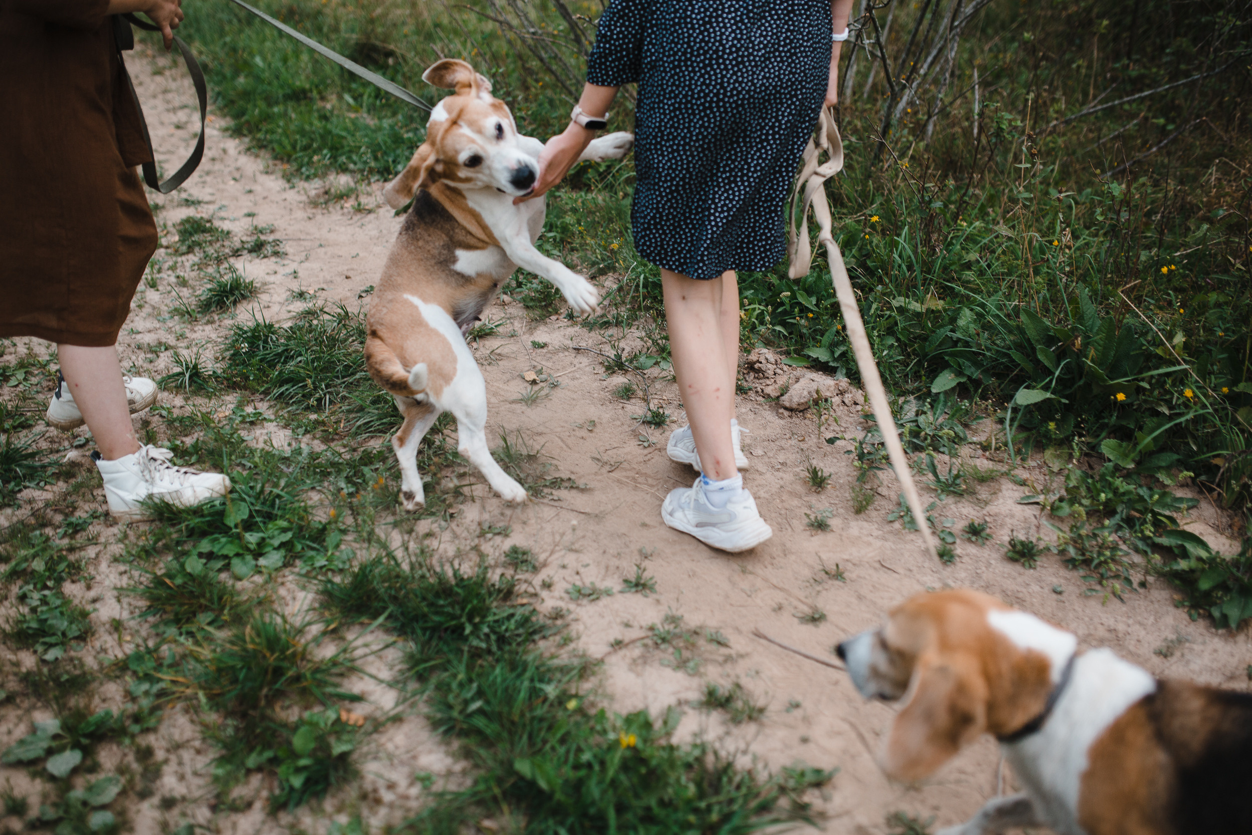 Две сестры. Детский, семейный и школьный фотограф Смоленск Москва Влад Старов