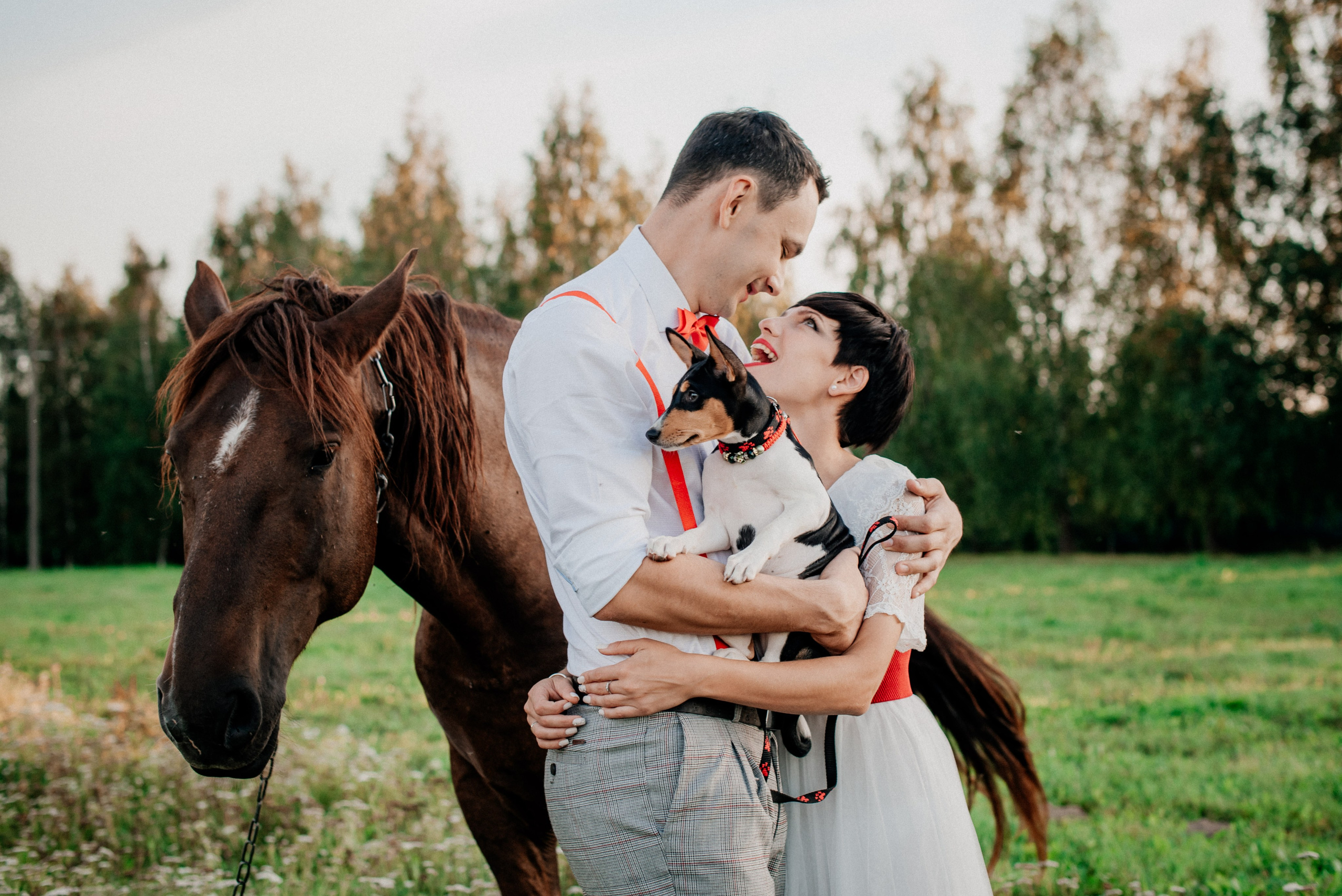 Любовь на закате. Свадебный и семейный фотограф в Минске Филиппович Александр