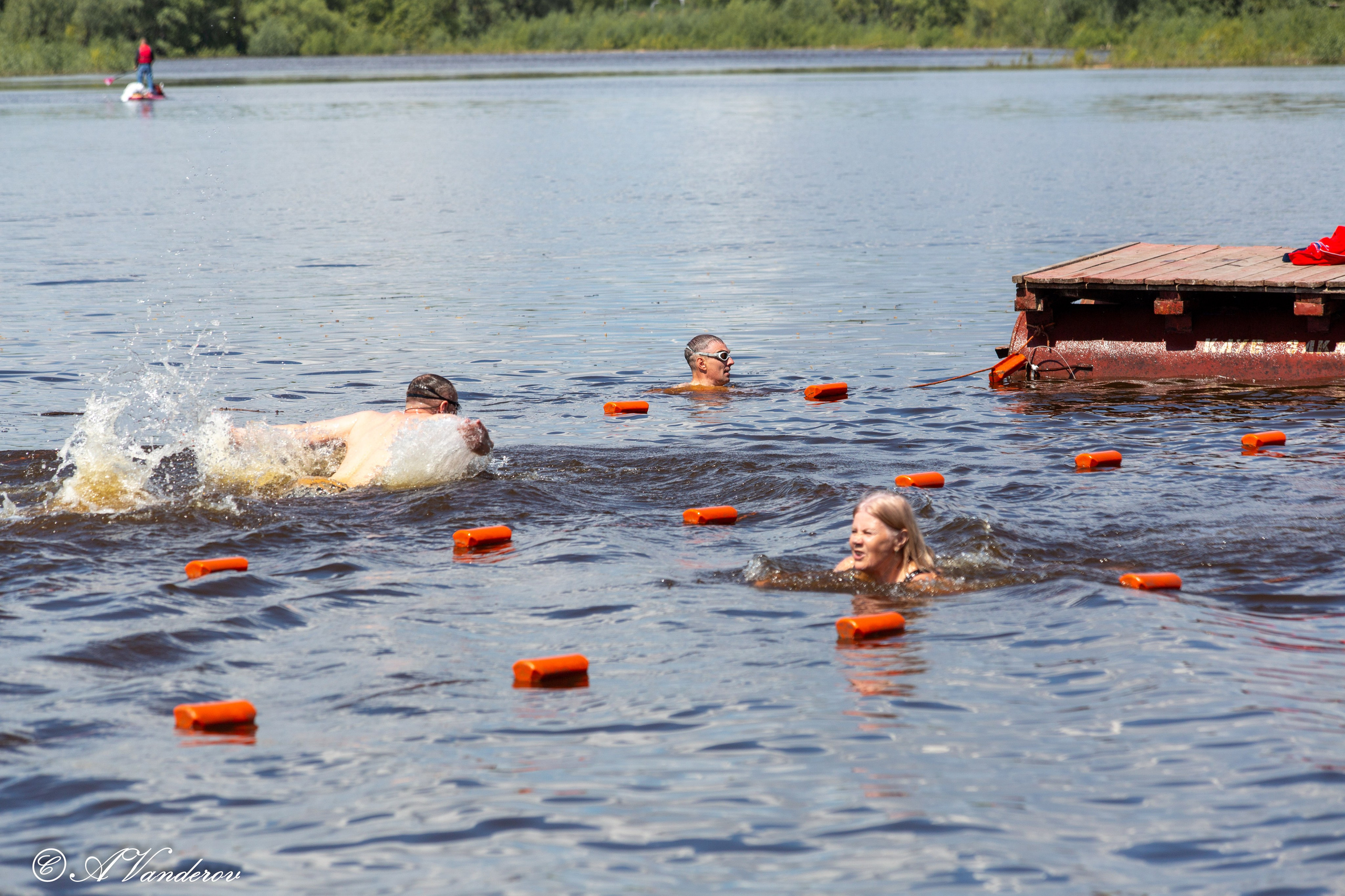 Заплыв 02.06.2024. Фотограф Омск | Александр Вандеров