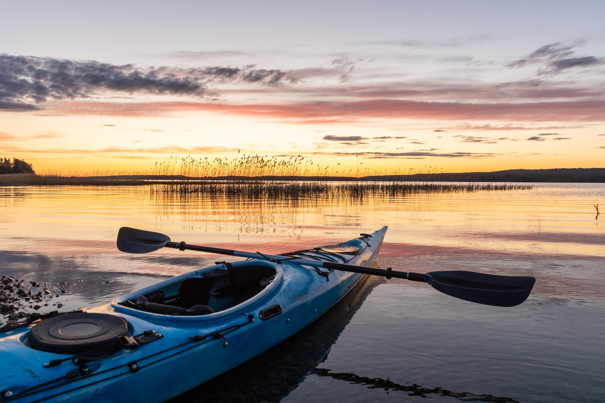 Путешествия
