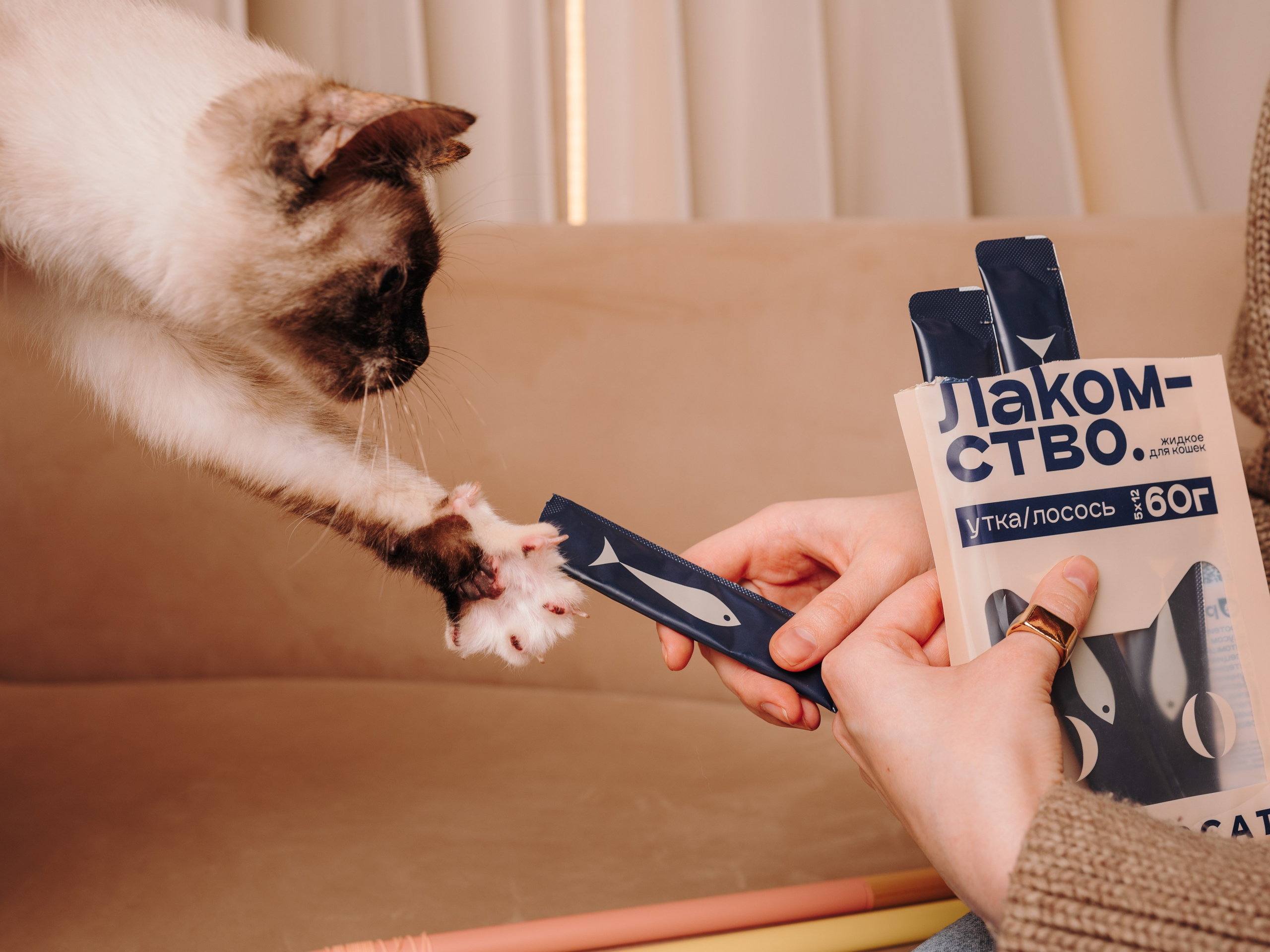 Cosmodog. Миски и лакомства. Семейный фотограф анималист Ананьева Мария — Москва