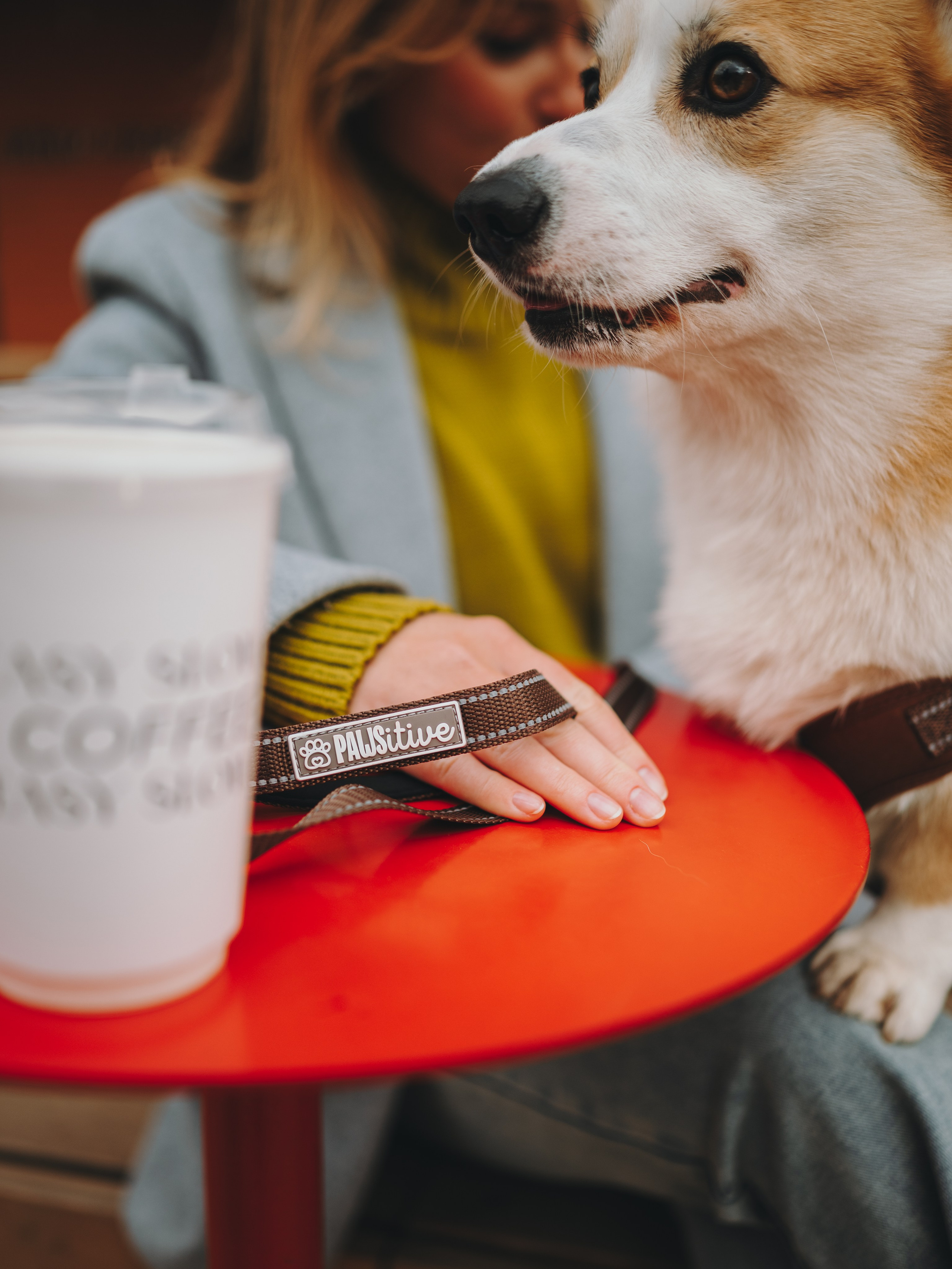 Pawsitive. Семейный фотограф анималист Ананьева Мария — Москва