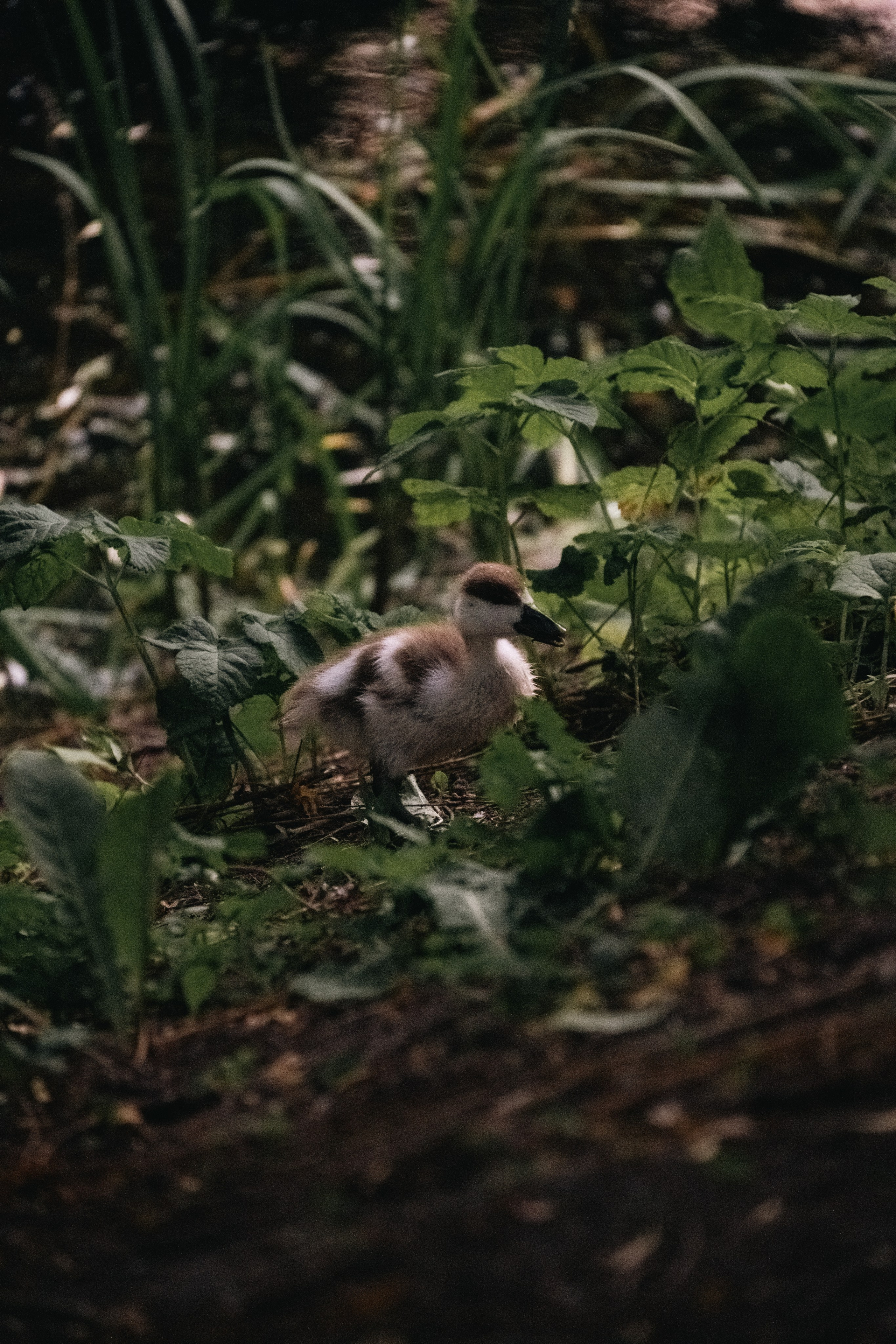 Moscow Selection. M. Neizvestniy — уличная и спортивная фотография