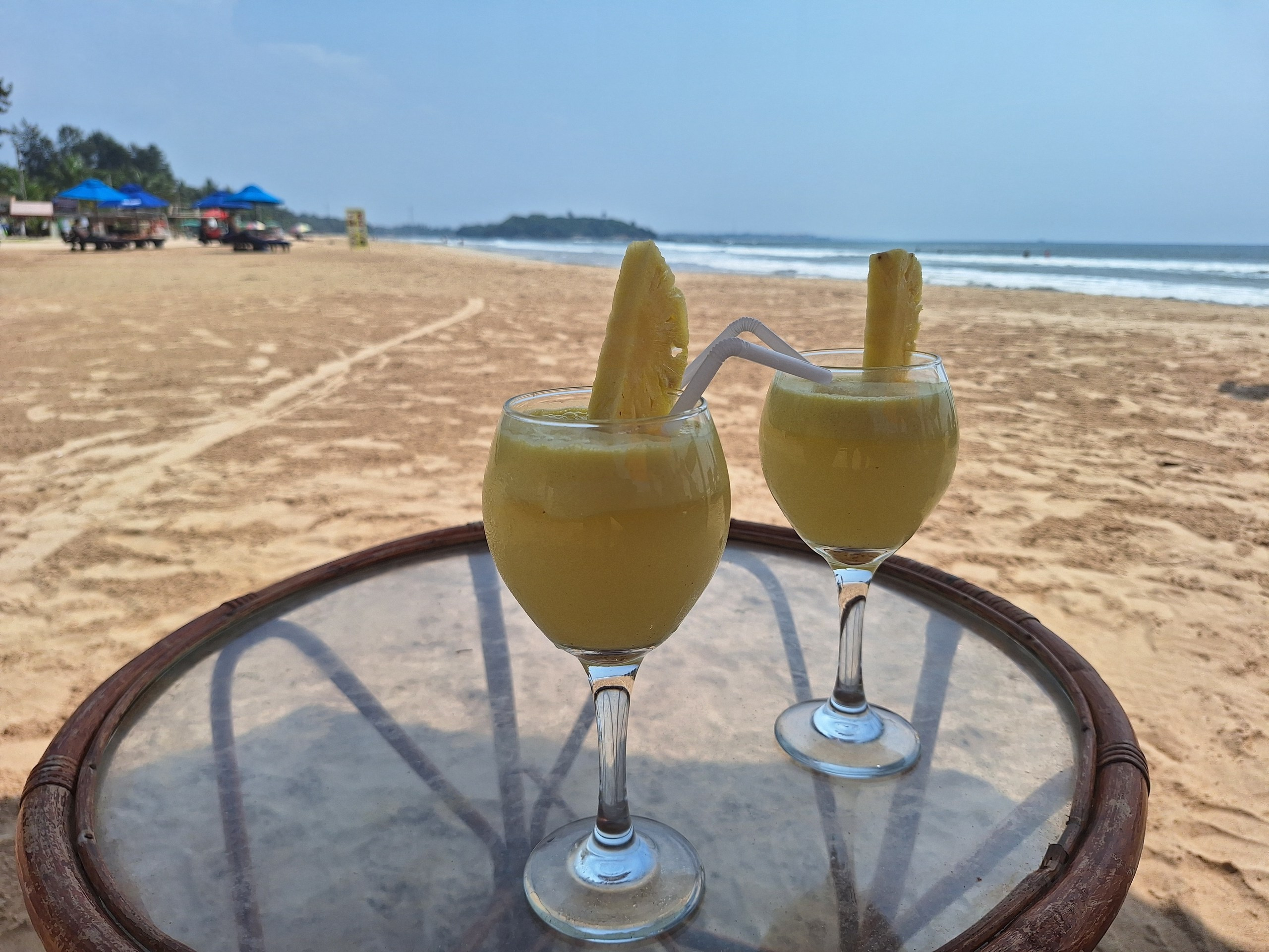 Шри-Ланка | 31.01 — 10.02.2025. Галерея Фантим