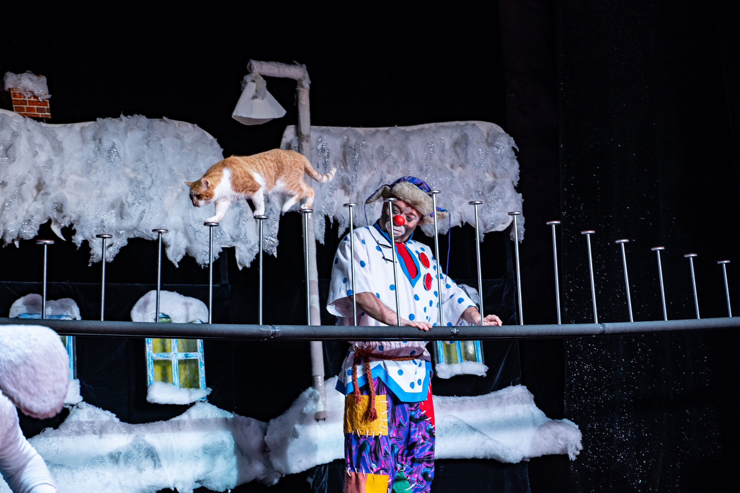 Театр Куклачева и его закулисье. Разноплановый фотограф в Москве