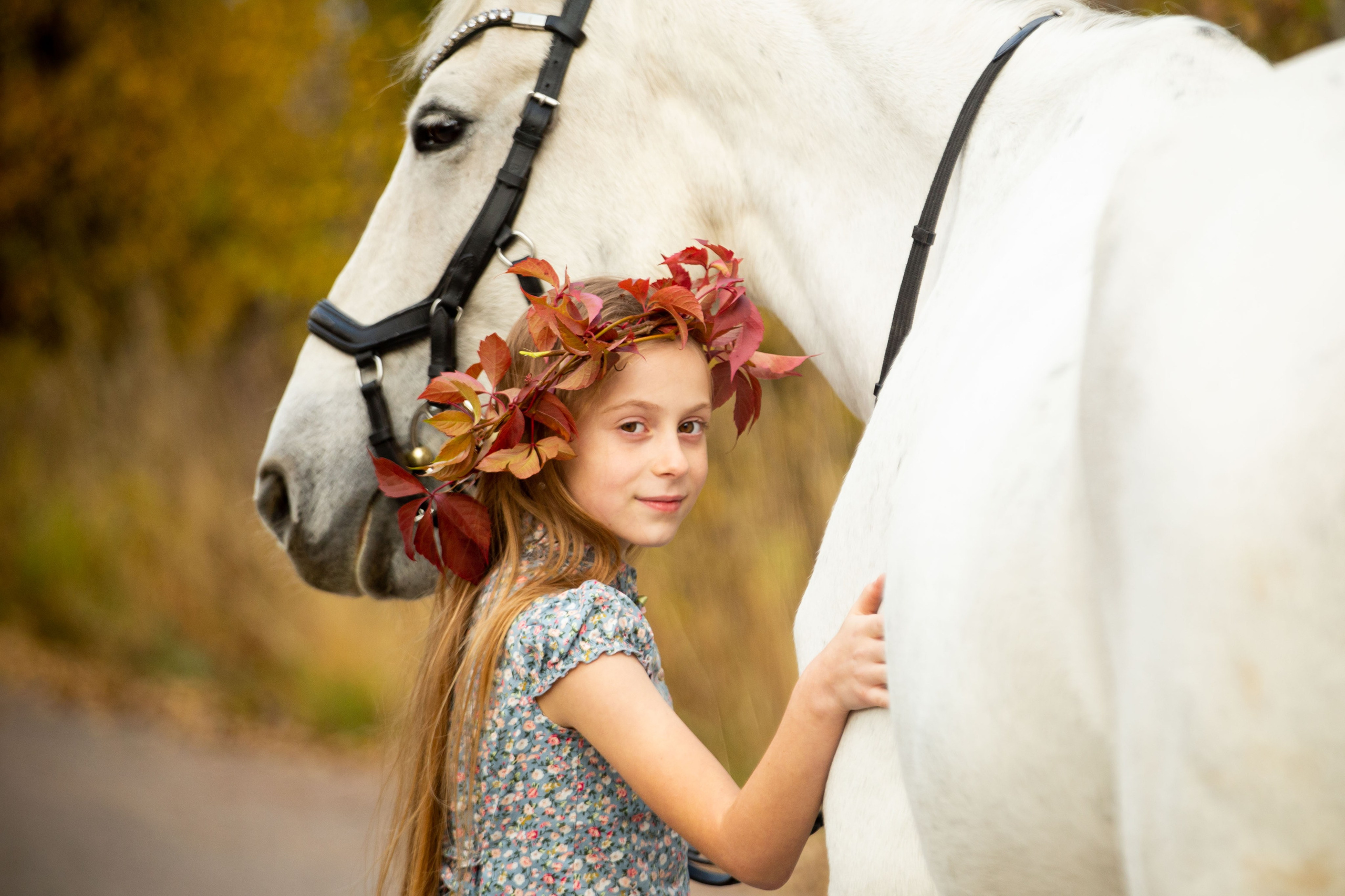 Конные фотосессии (съёмки с лошадьми). Главная