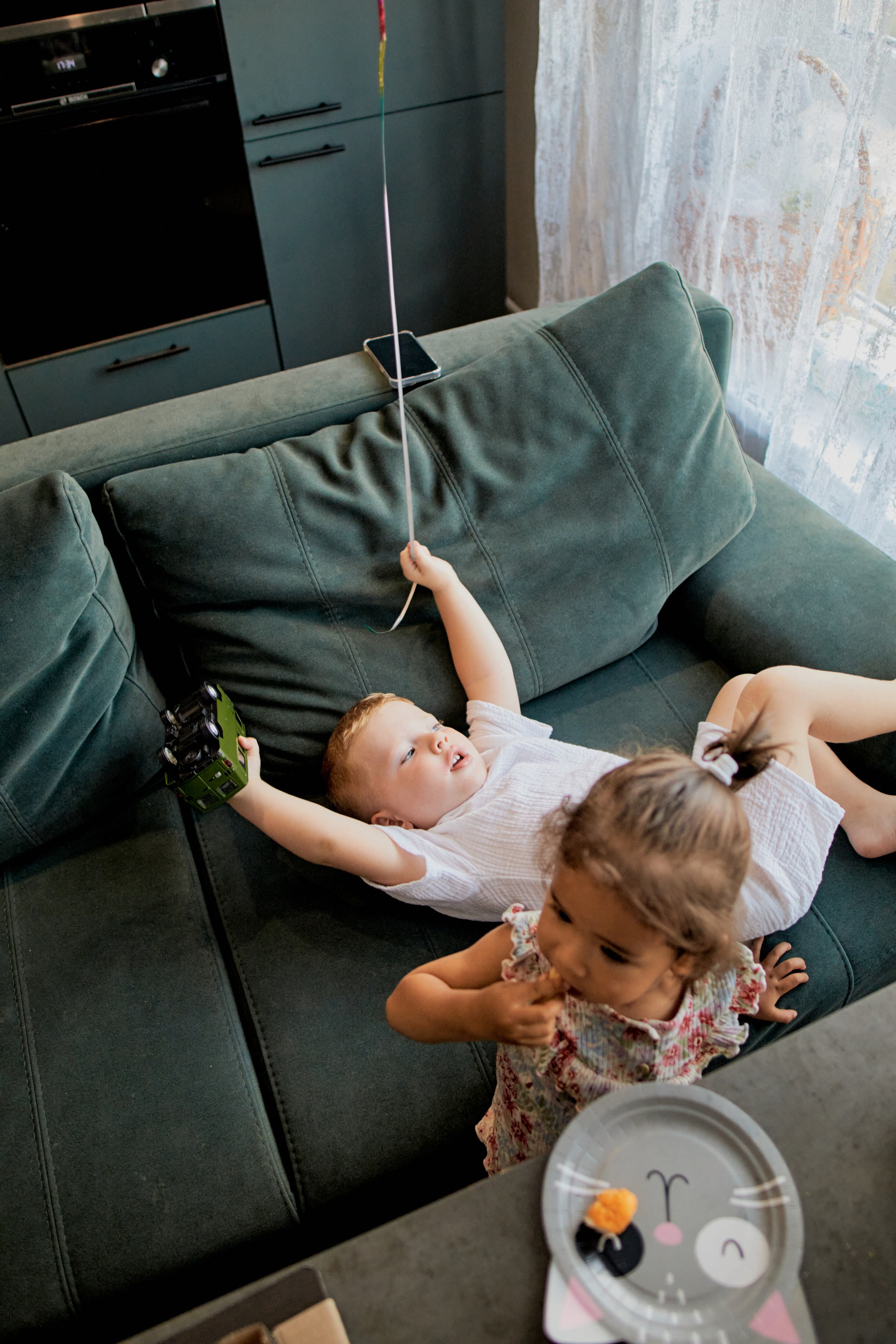 Три кота. Фотограф Москва