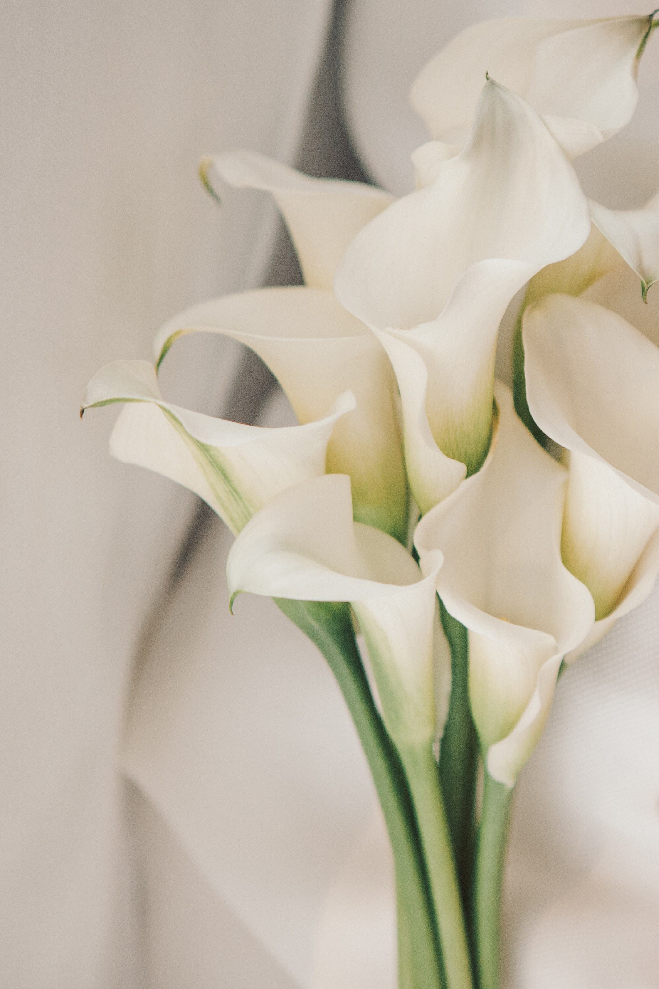 Роспись в Кутузовском ЗАГСе. Фотограф Ольга Ефремова