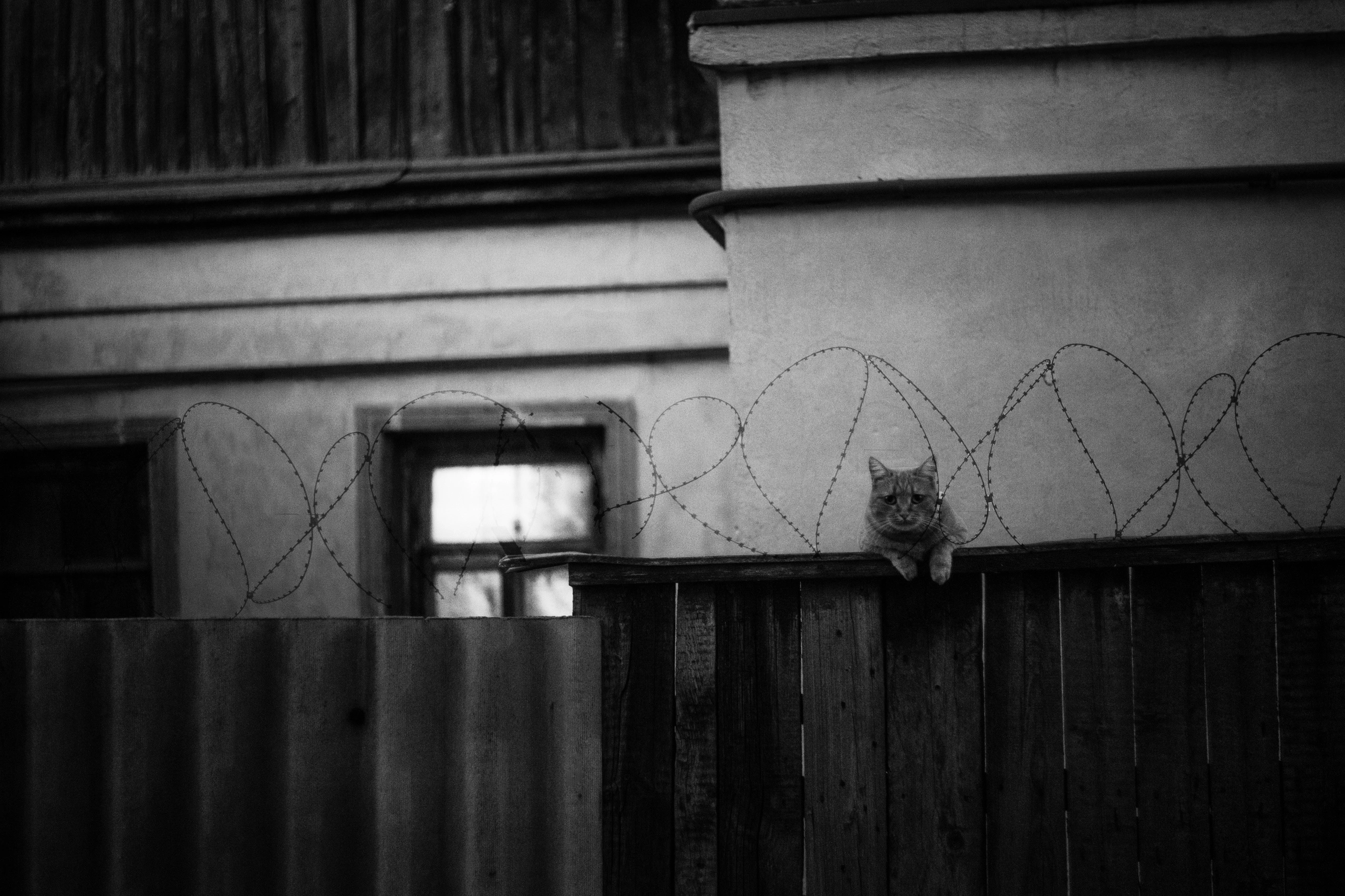Дно. Фотограф Кузнецов Егор Санкт-Петербург