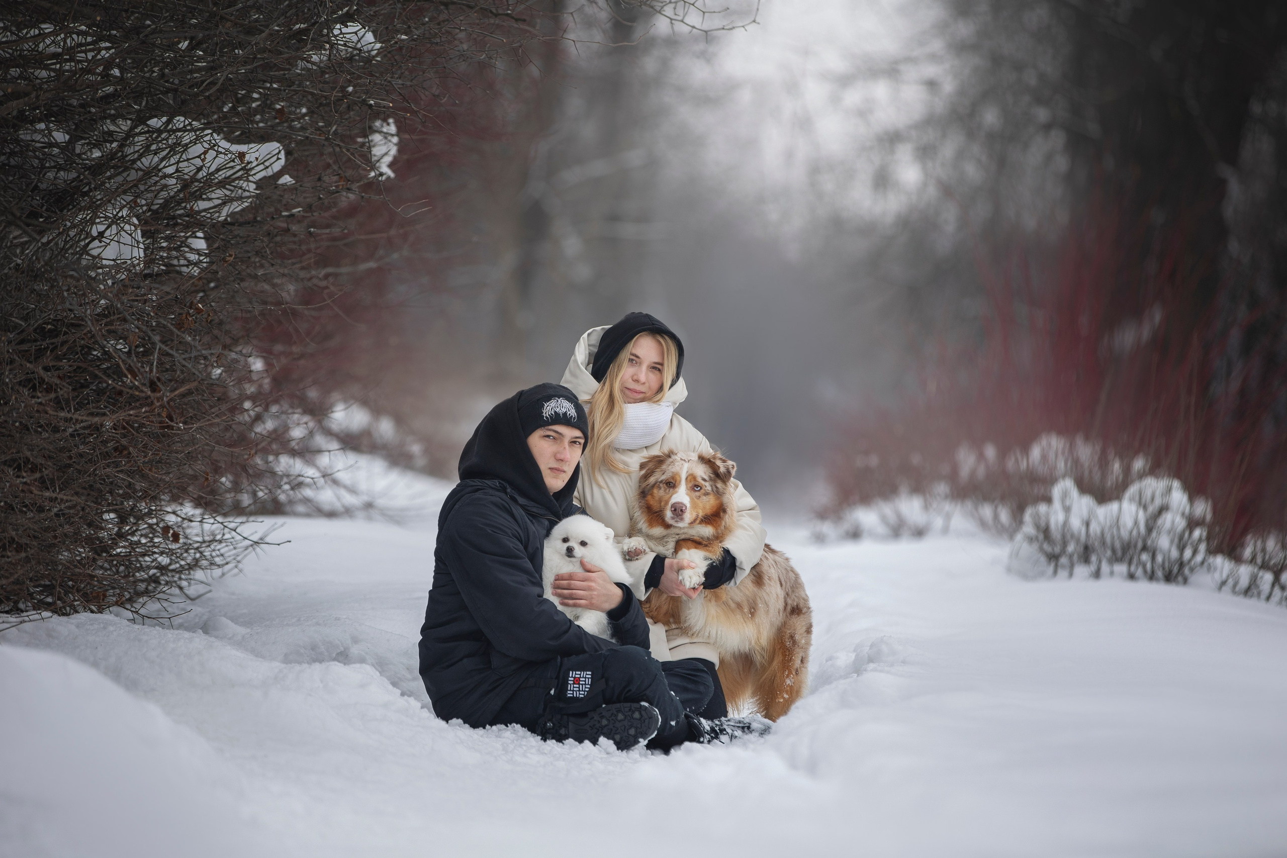 Настя, Игорь, Тесс и Марс. Фотограф анималист в Москве Майорова Евгения