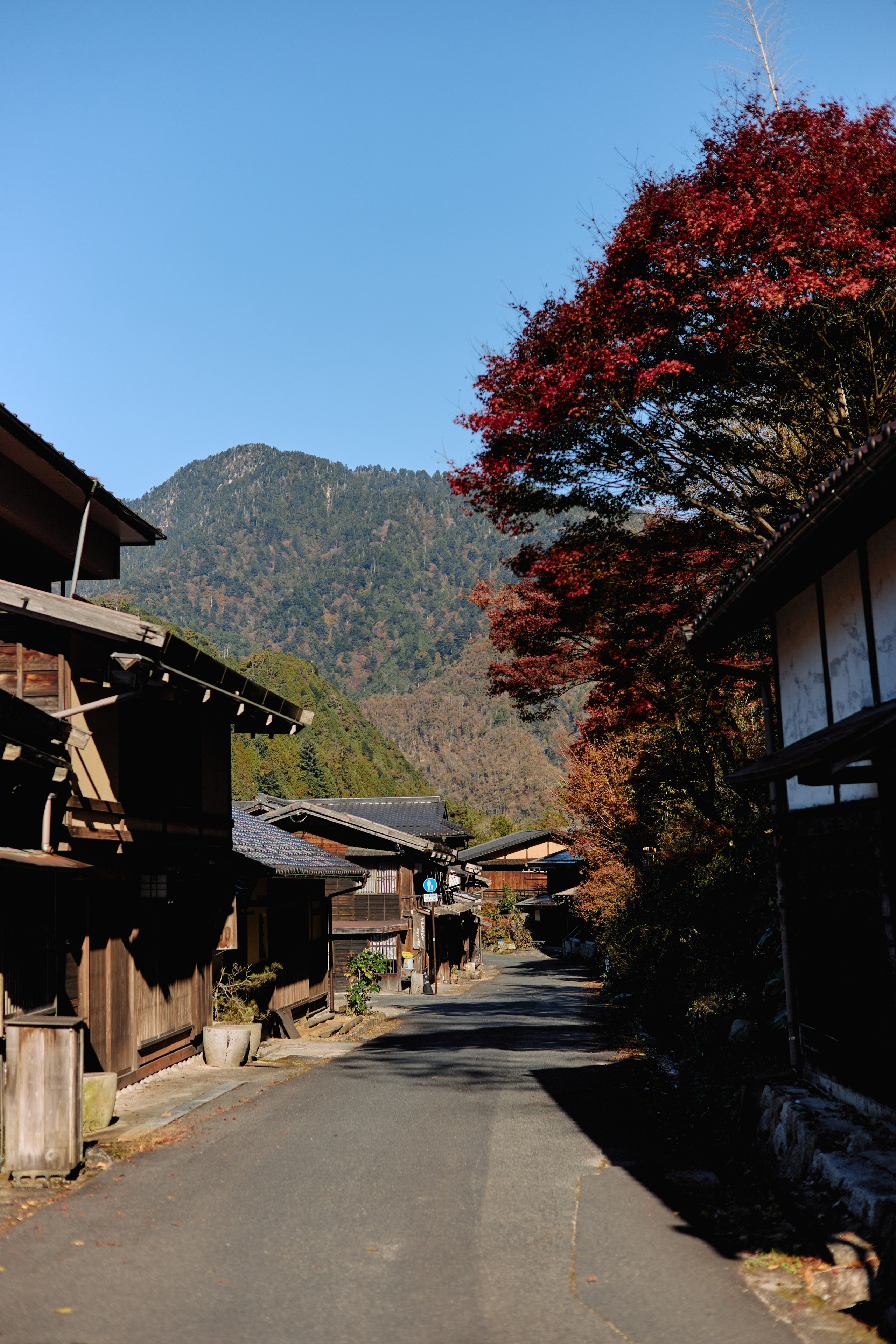 Япония. Профессиональный Фотограф во Владимире, в Москве и в Суздале — Полина Романычева