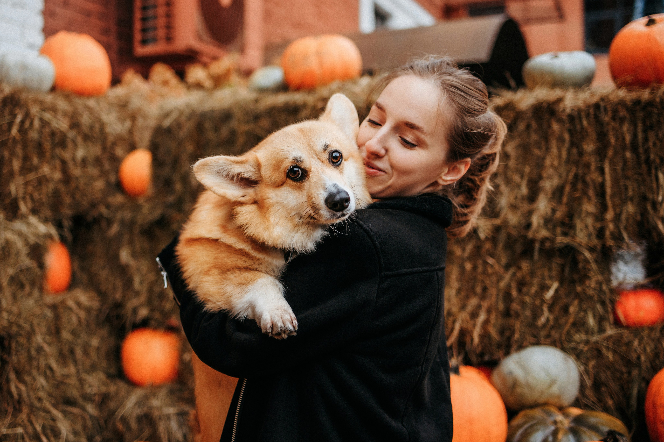 Вера, Саша и Муна. Фотограф-анималист Елена Радченко, Москва