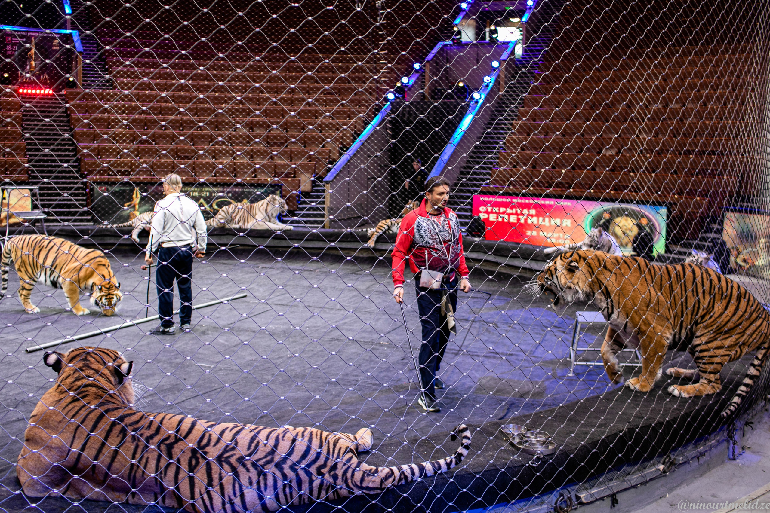 В закулисье у братьев Запашных. Art photographer Nino