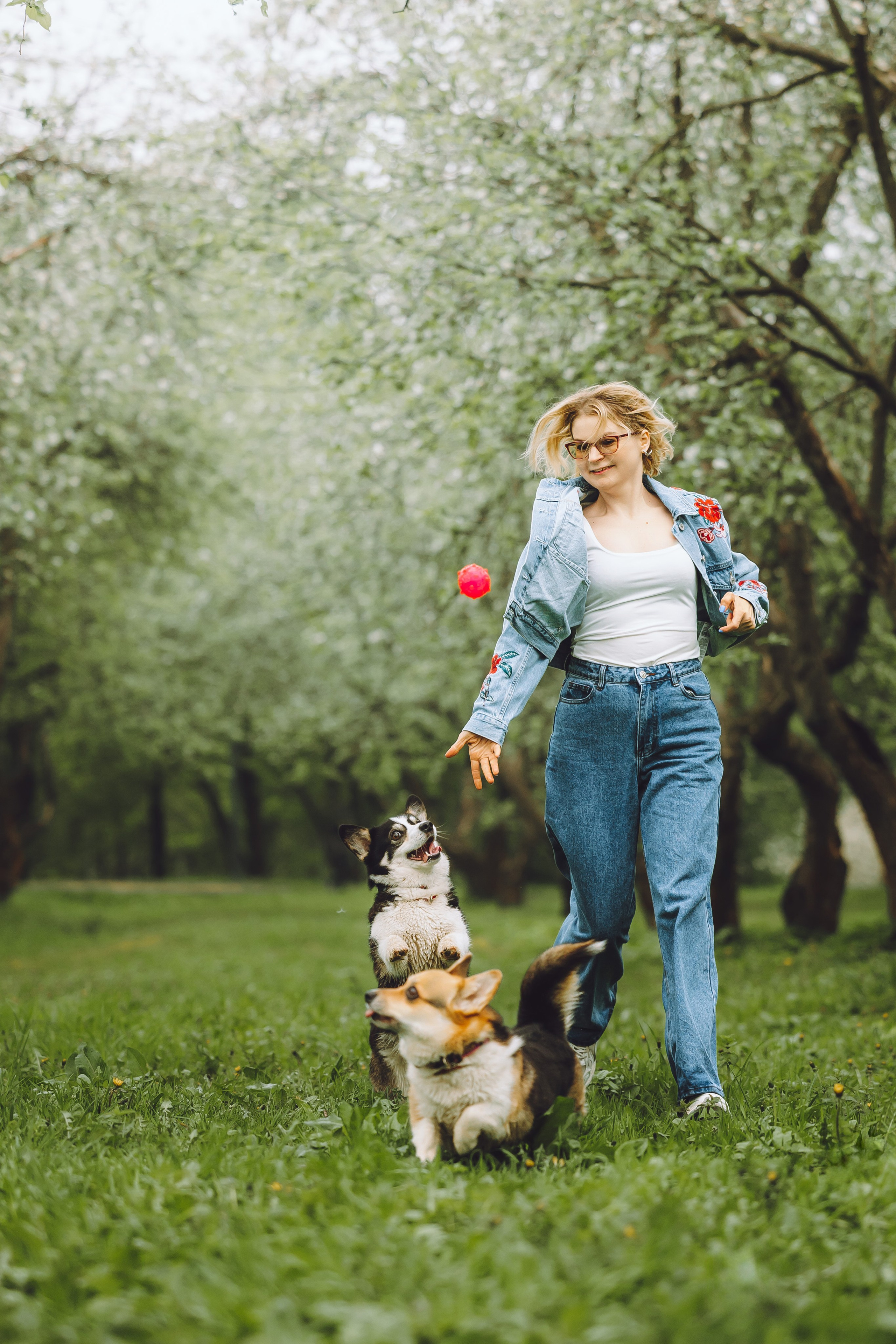 Дима, Настя, Фрида и Дася. Семейный фотограф животных, анималист в Москве Екатерина Киреева