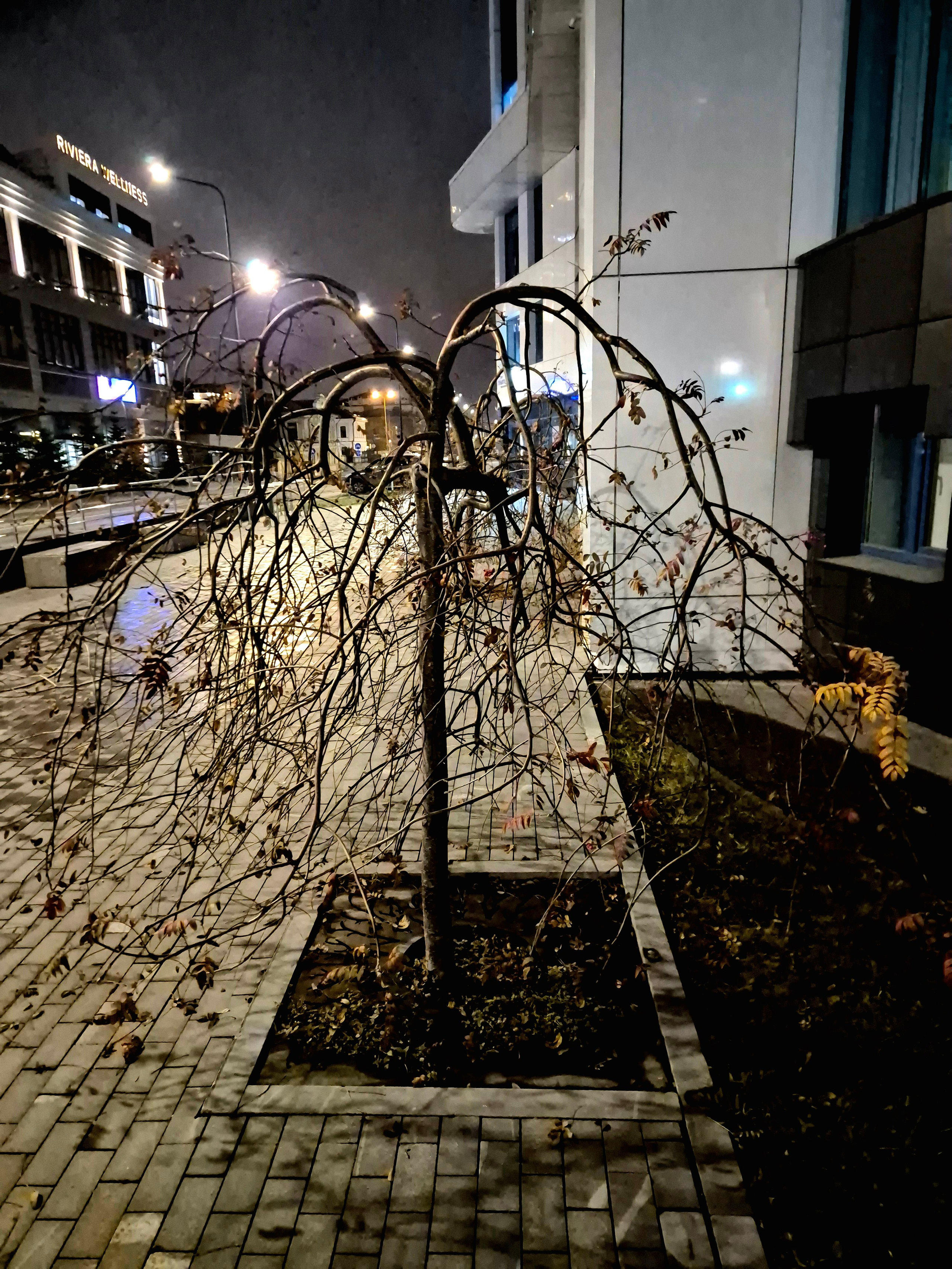 Как часто такое случается - растет что-то большое и светлое, а потом холодом и морозом в одно мгновение прибило к земле все светлые устремления