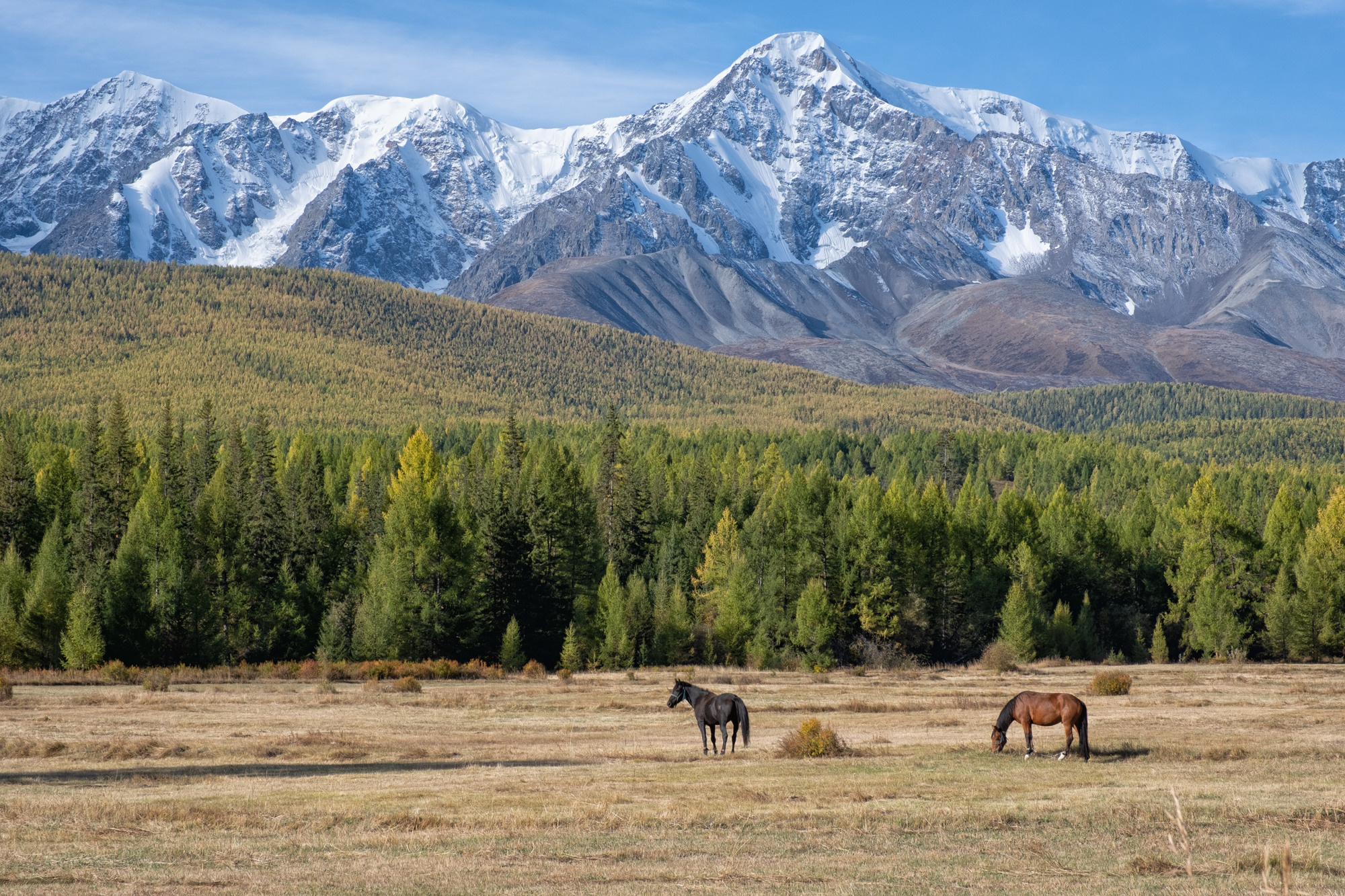 Алтай. Портретный фотограф в Москве и Московской области Марина Савчиц