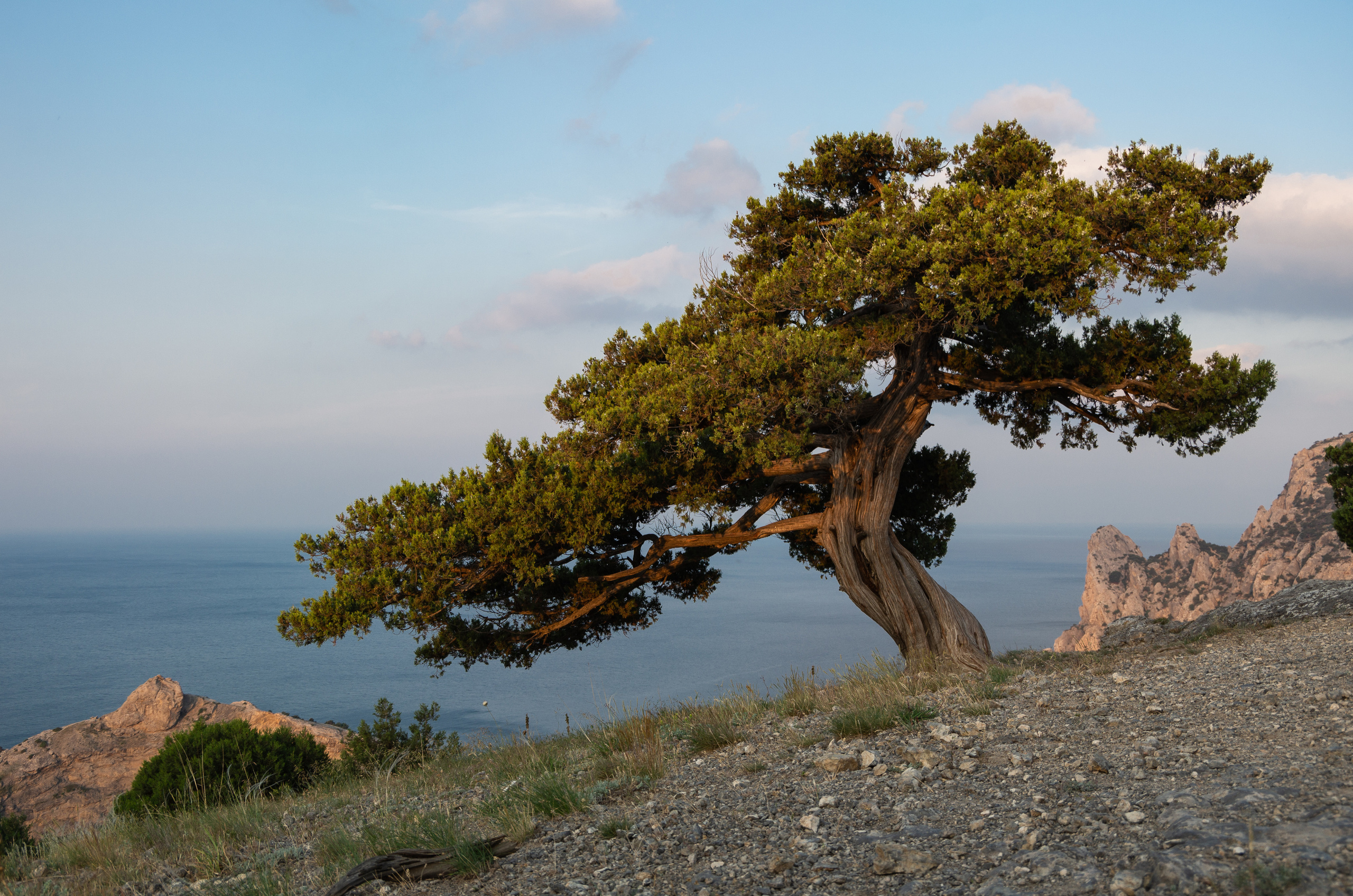 Крым. Портретный фотограф в Москве и Московской области Марина Савчиц