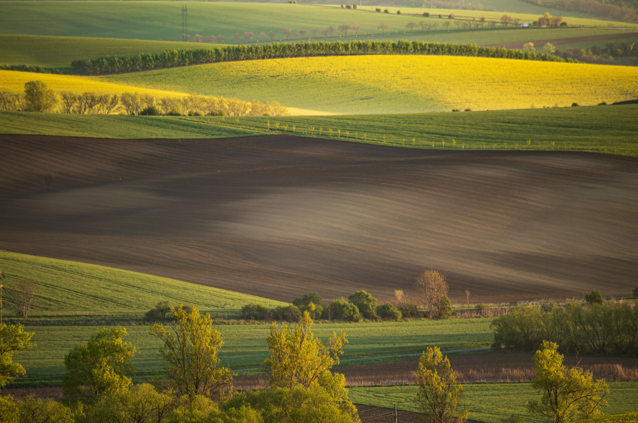 Моравия. Портретный фотограф в Москве и Московской области Марина Савчиц