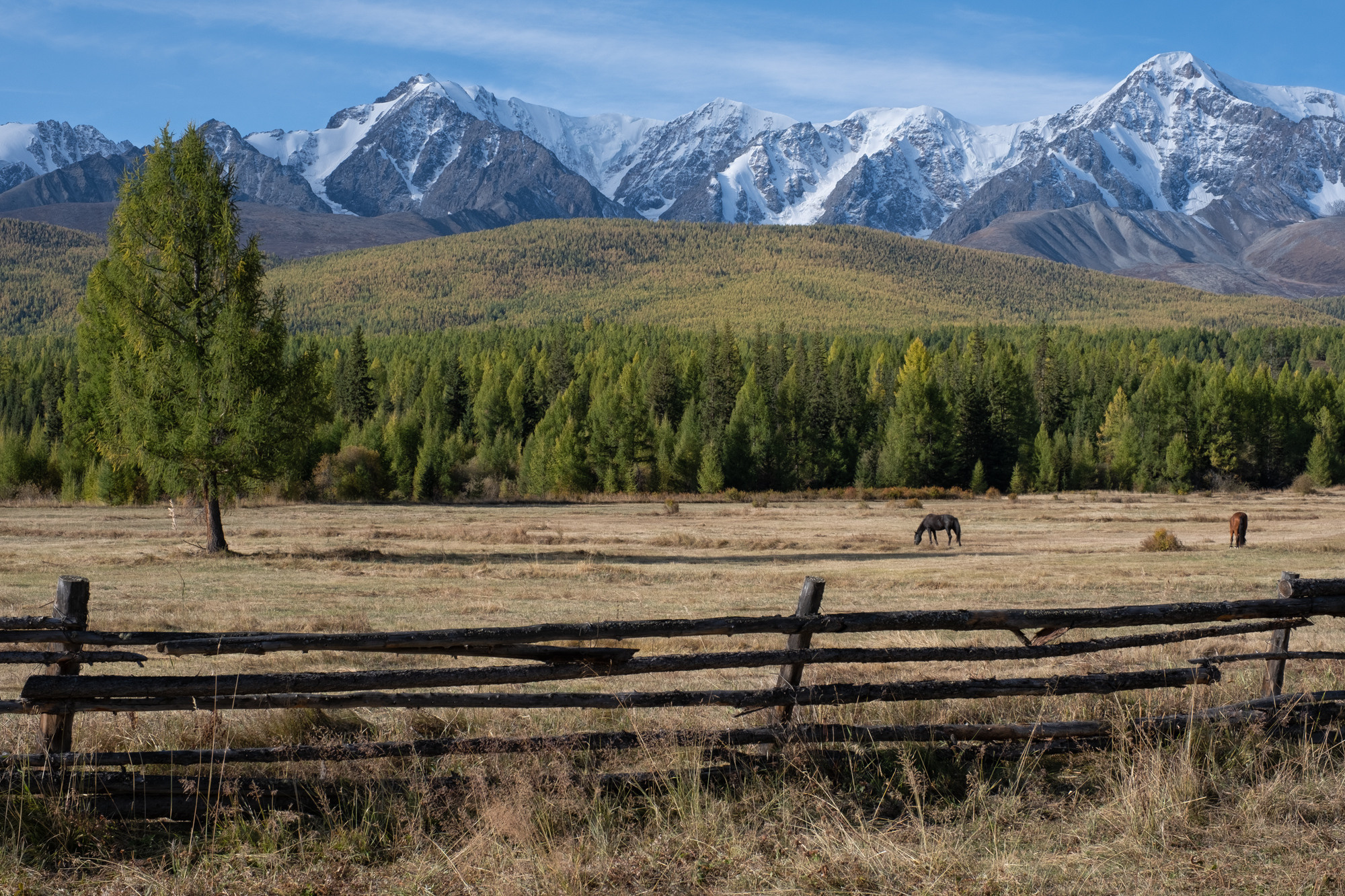 Алтай. Портретный фотограф в Москве и Московской области Марина Савчиц