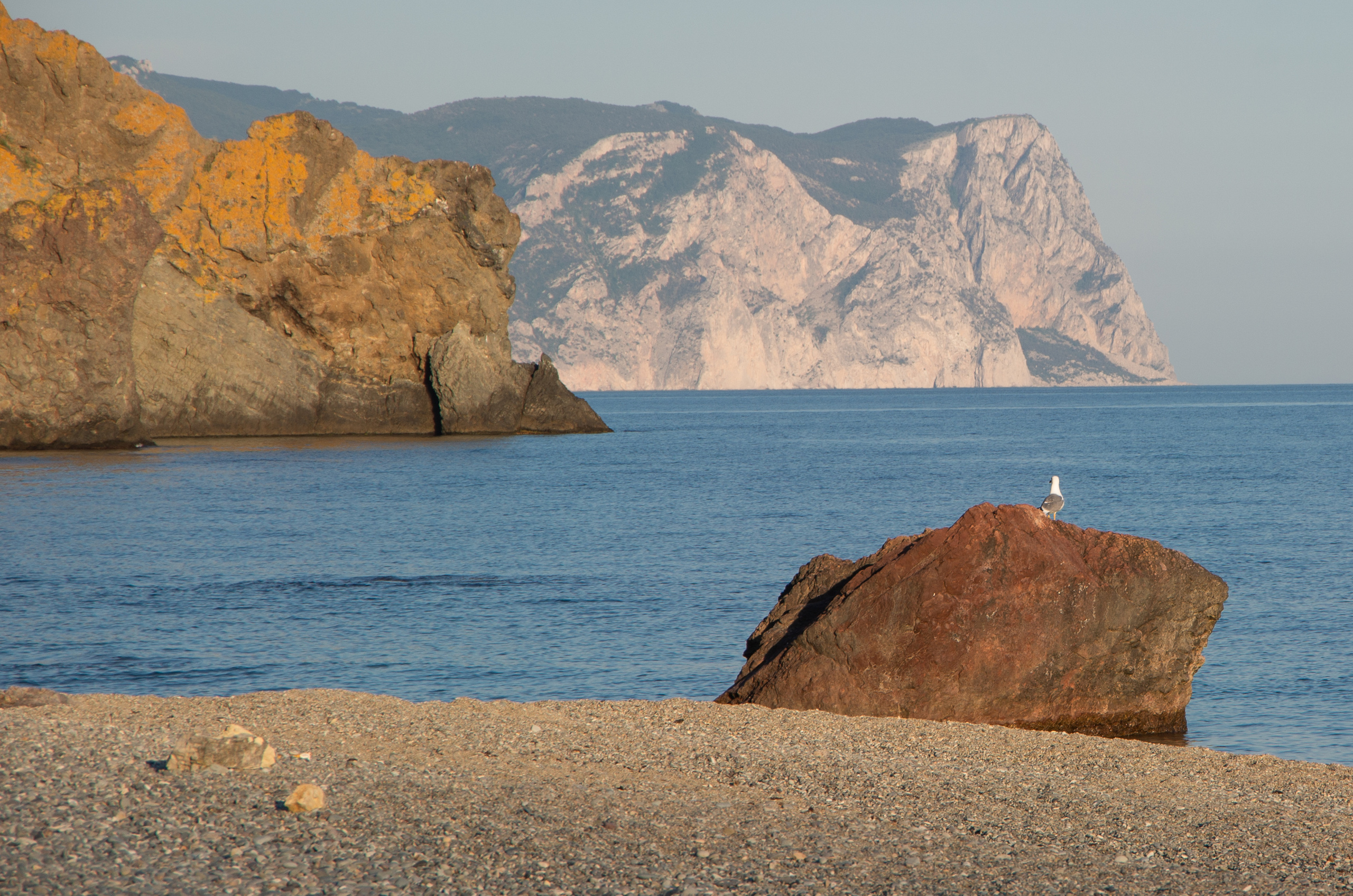 Крым. Портретный фотограф в Москве и Московской области Марина Савчиц