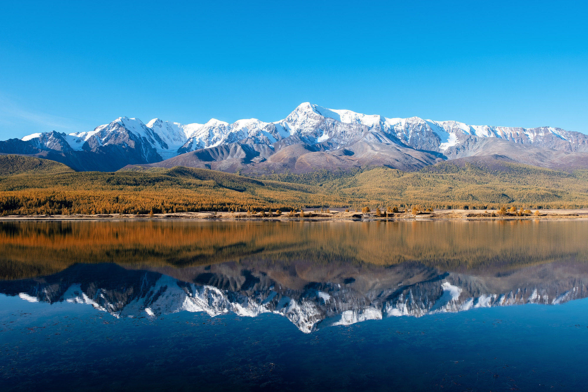 Алтай. Портретный фотограф в Москве и Московской области Марина Савчиц
