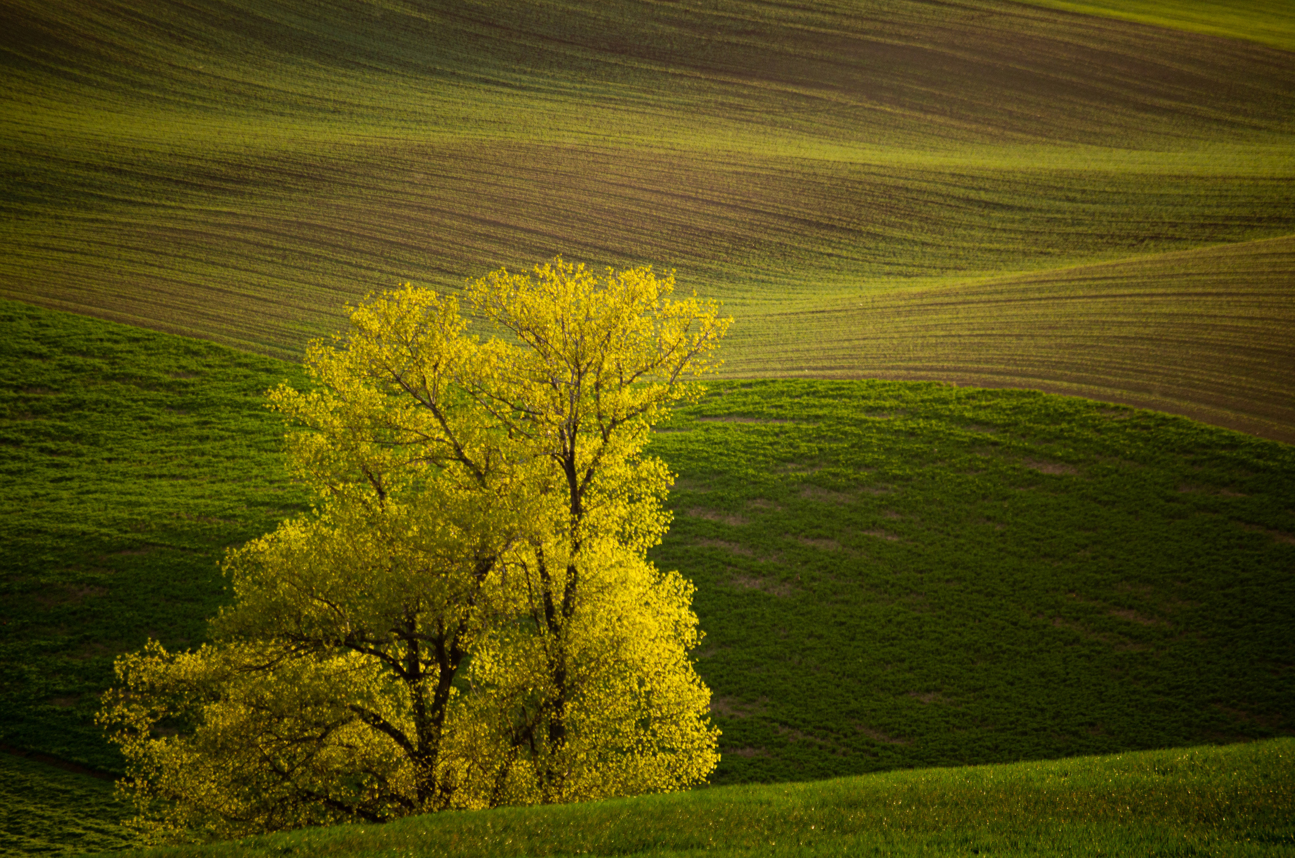 Моравия. Портретный фотограф в Москве и Московской области Марина Савчиц