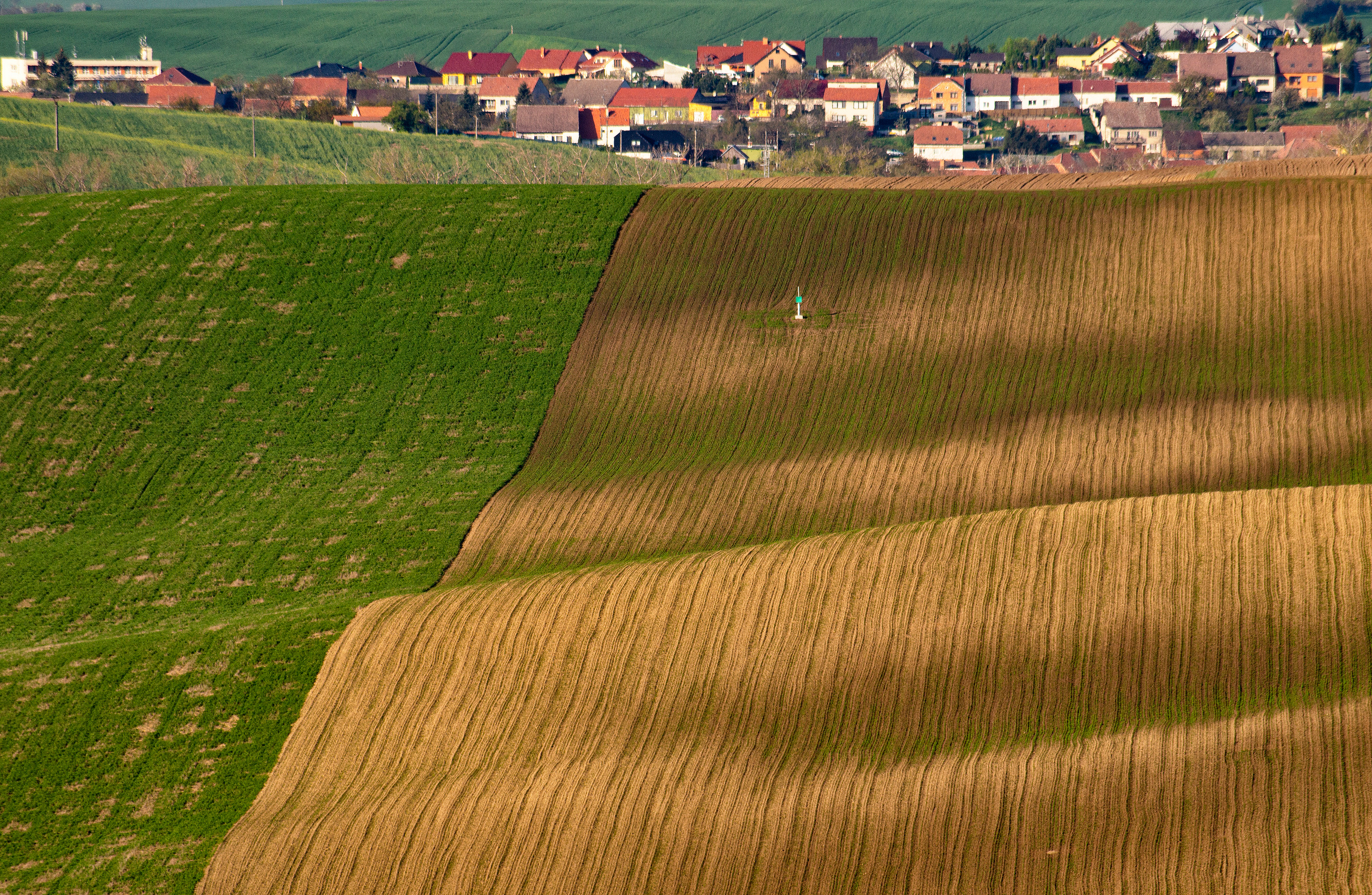 Моравия. Портретный фотограф в Москве и Московской области Марина Савчиц