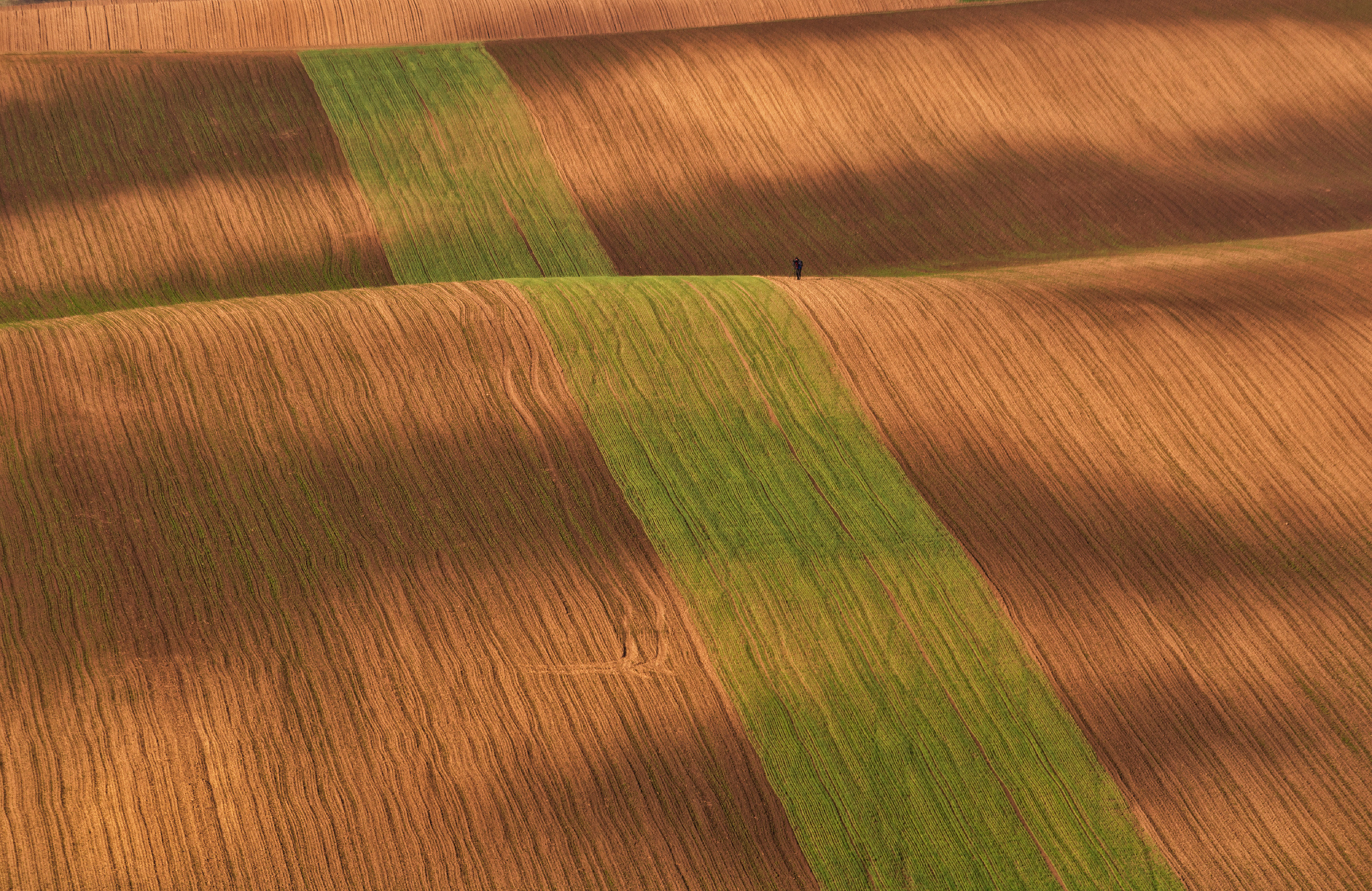 Моравия. Портретный фотограф в Москве и Московской области Марина Савчиц