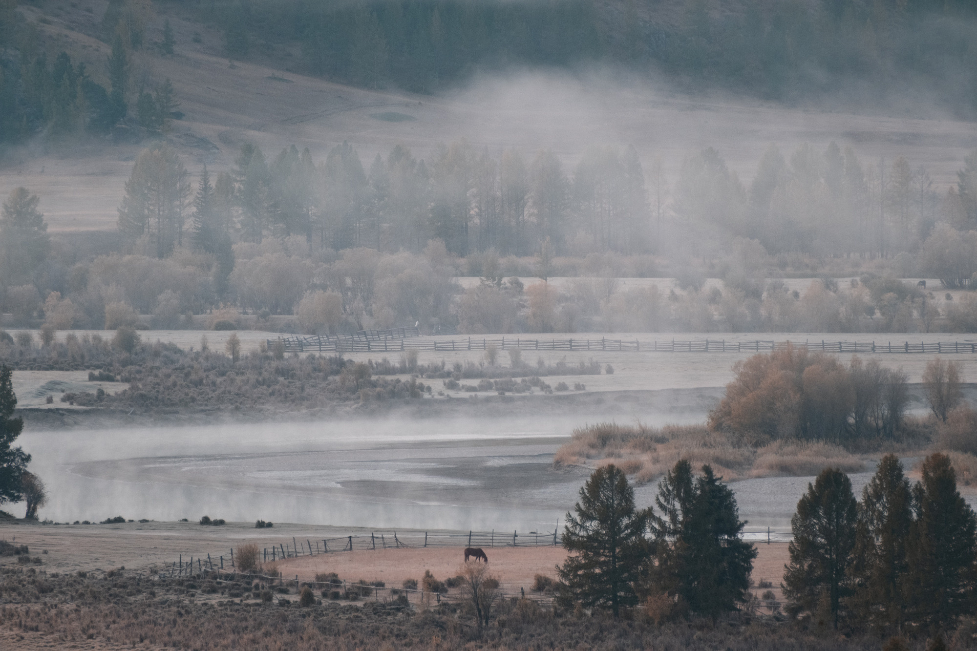 Алтай. Портретный фотограф в Москве и Московской области Марина Савчиц