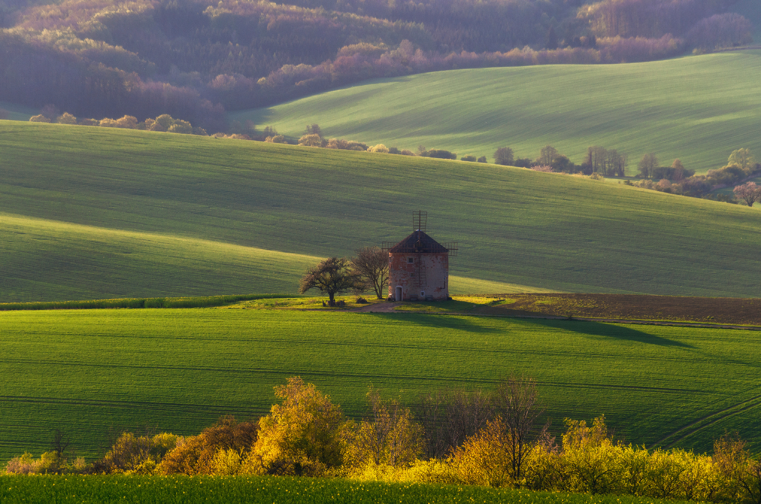 Моравия. Портретный фотограф в Москве и Московской области Марина Савчиц