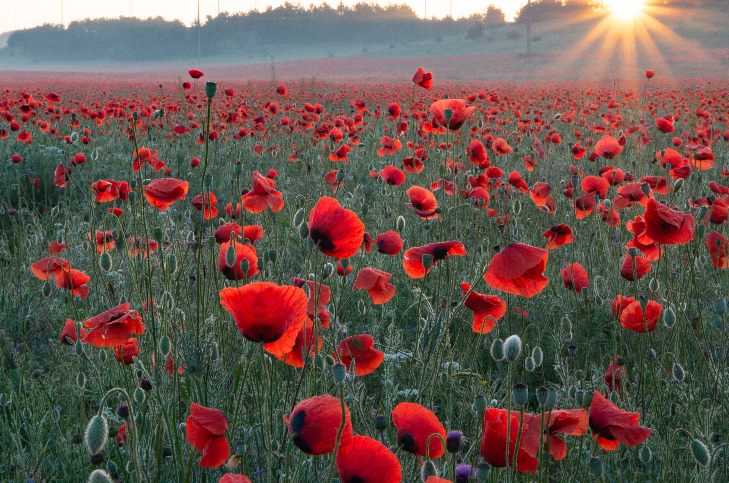Крым. Портретный фотограф в Москве и Московской области Марина Савчиц