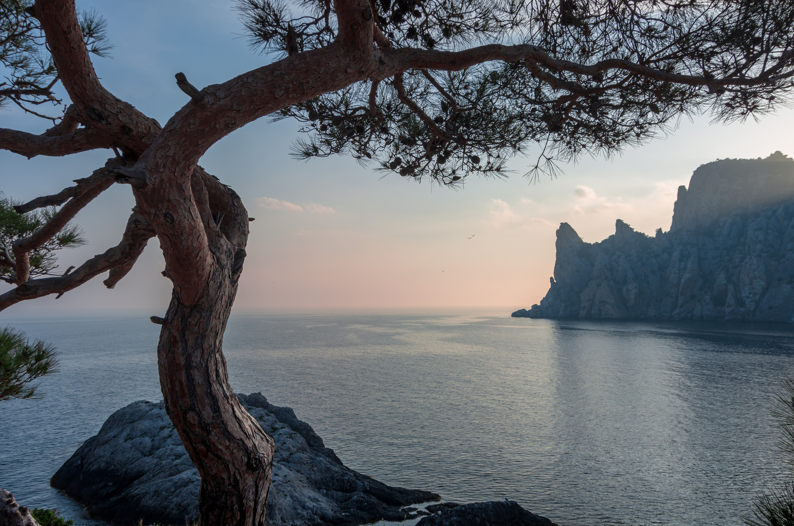 Крым. Портретный фотограф в Москве и Московской области Марина Савчиц