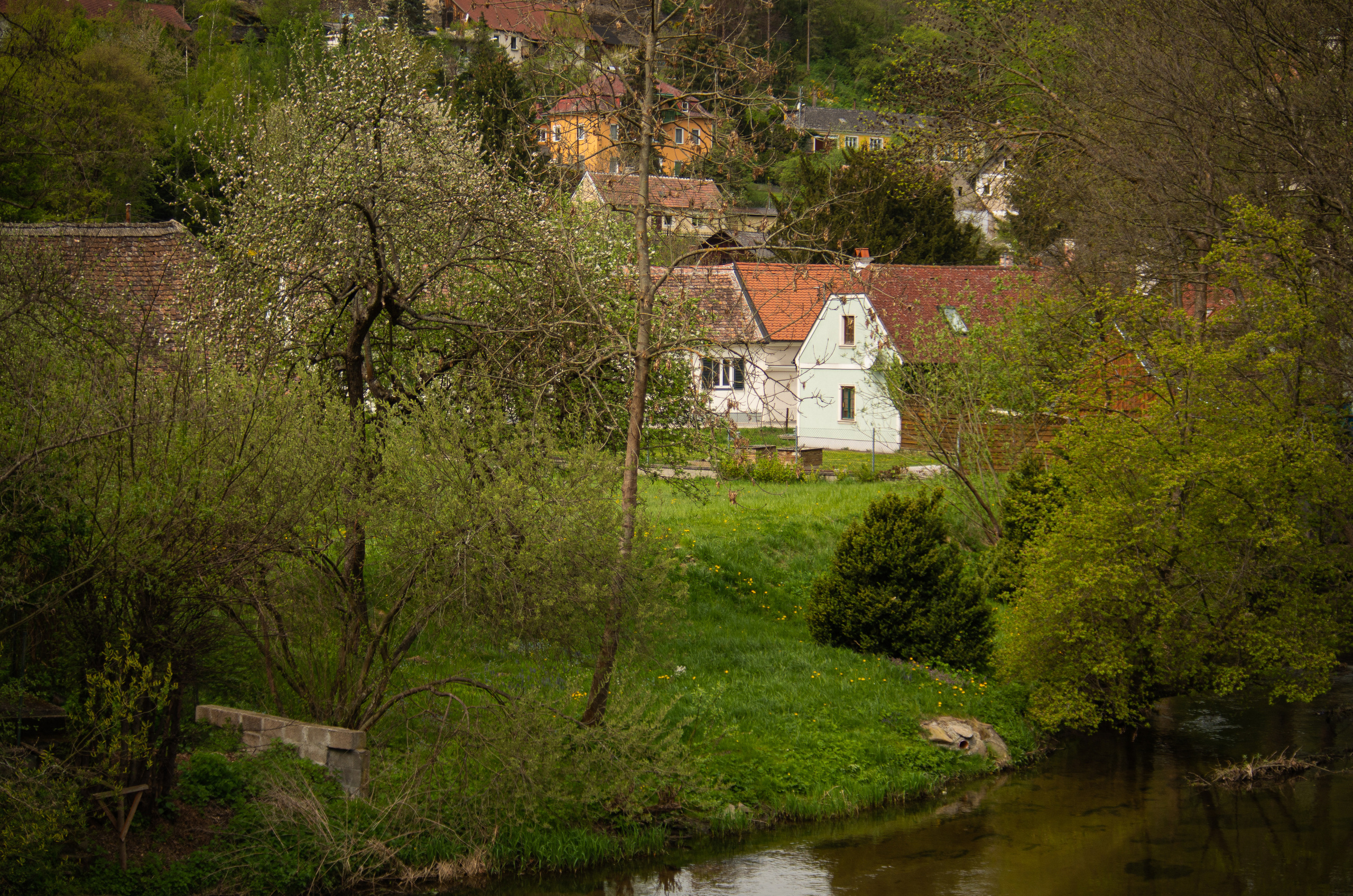 Моравия. Портретный фотограф в Москве и Московской области Марина Савчиц