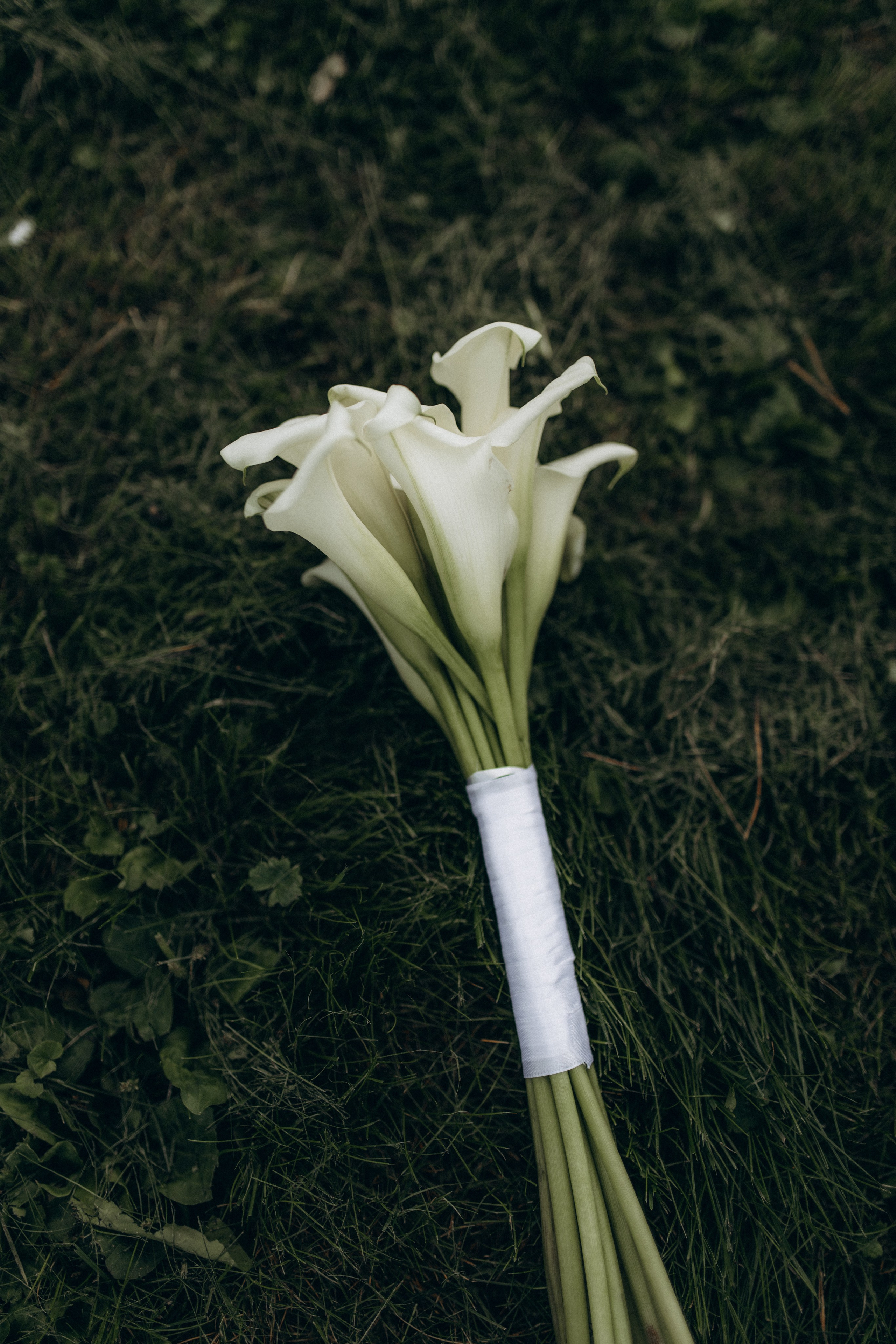 Мария & Иван. Фотограф НОГИНСК, Москва, Анастасия Белая