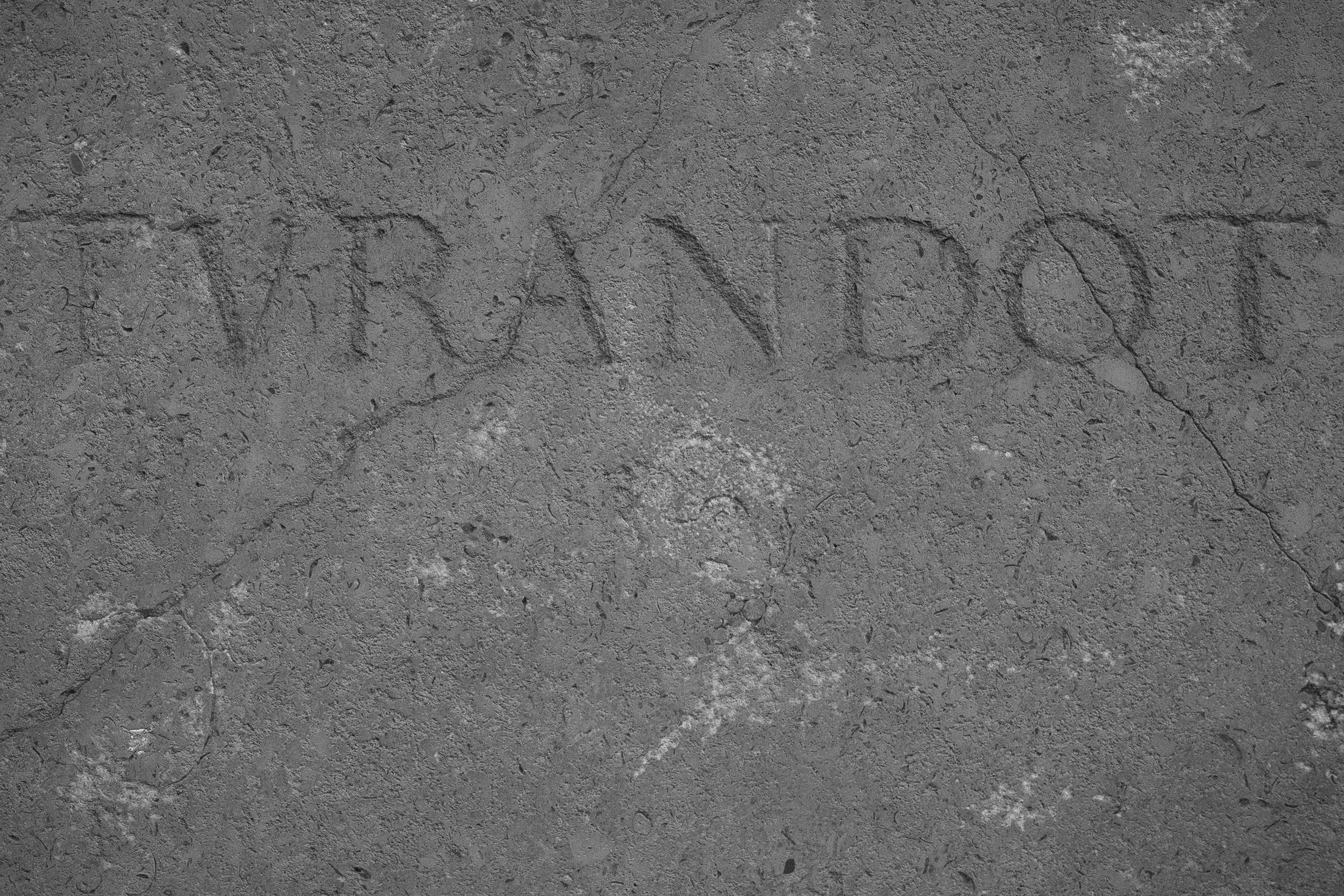 Женя и Люба. Свадебный фотограф Михаил Мирзоян