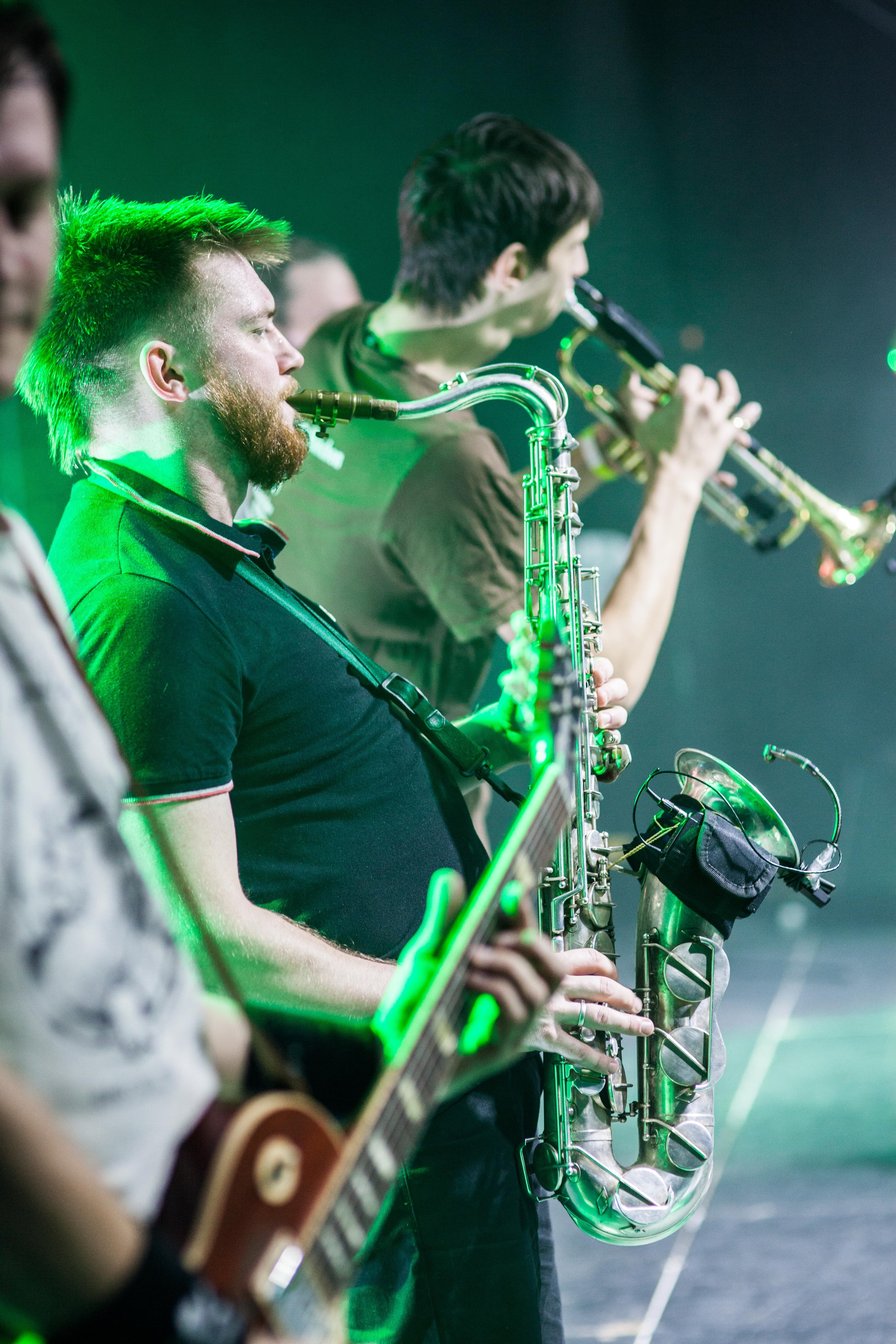 Distamper. Твой фотограф — Полосатый кот